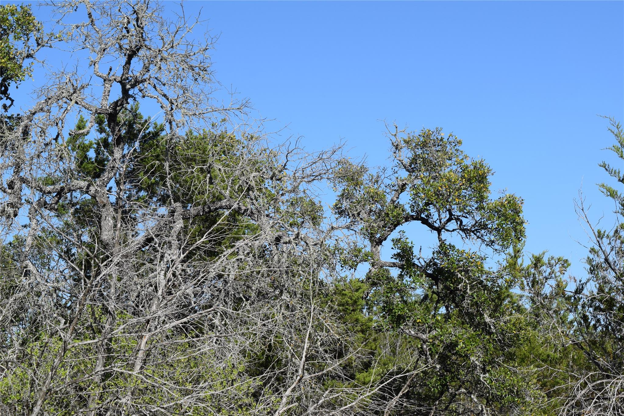Tbd Cheyenne Trail Wimberley TX 78676