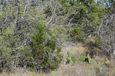 Tbd Cheyenne Trail Wimberley TX 78676