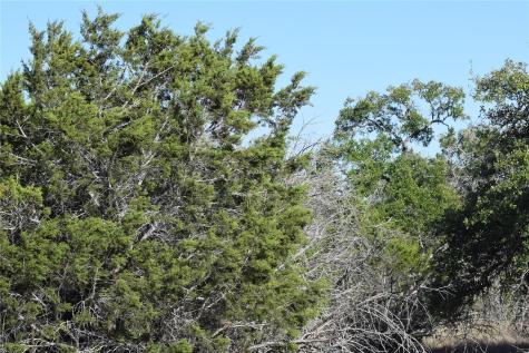 Tbd Cheyenne Trail Wimberley TX 78676