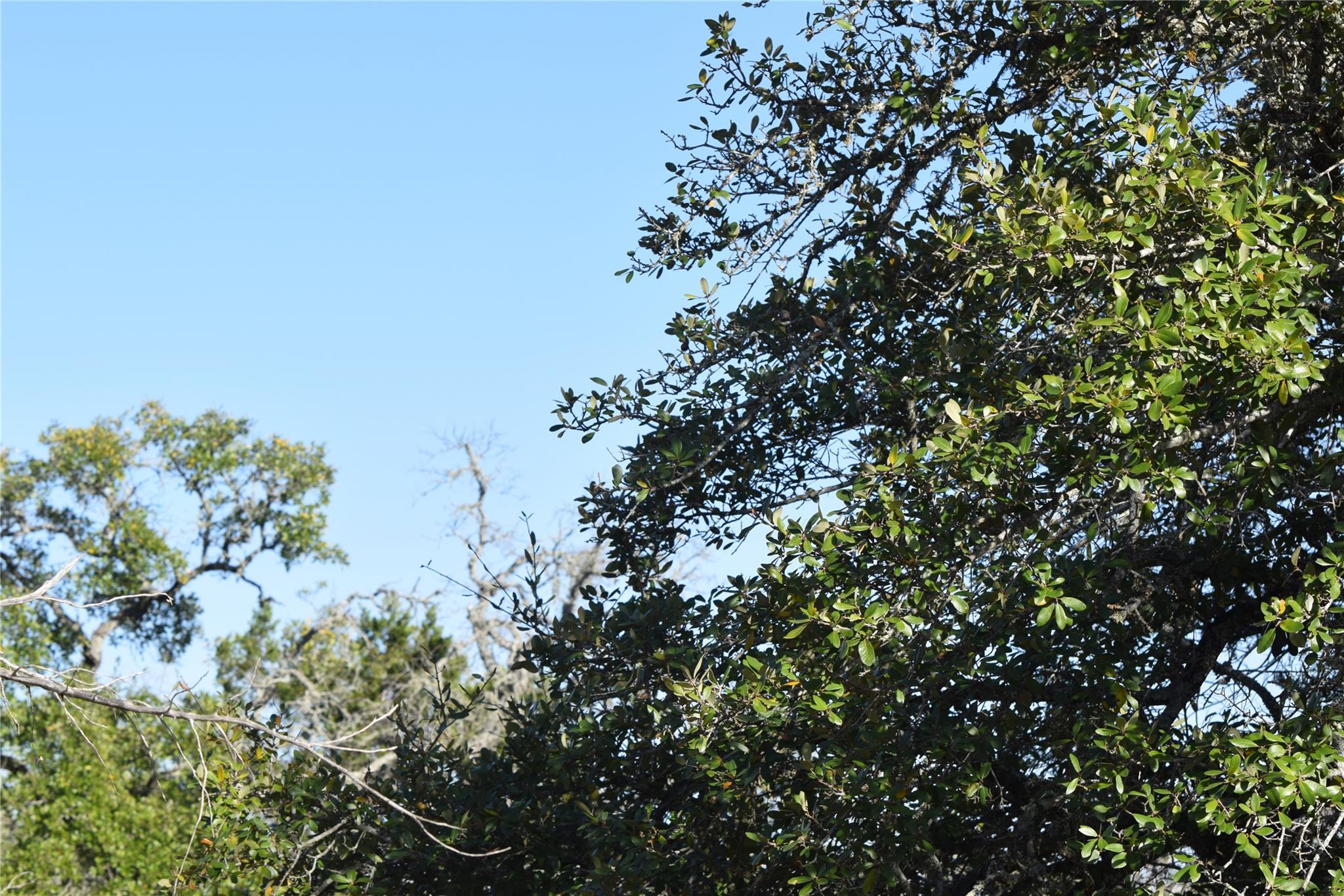 Tbd Cheyenne Trail Wimberley TX 78676