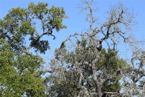 Tbd Cheyenne Trail Wimberley TX 78676