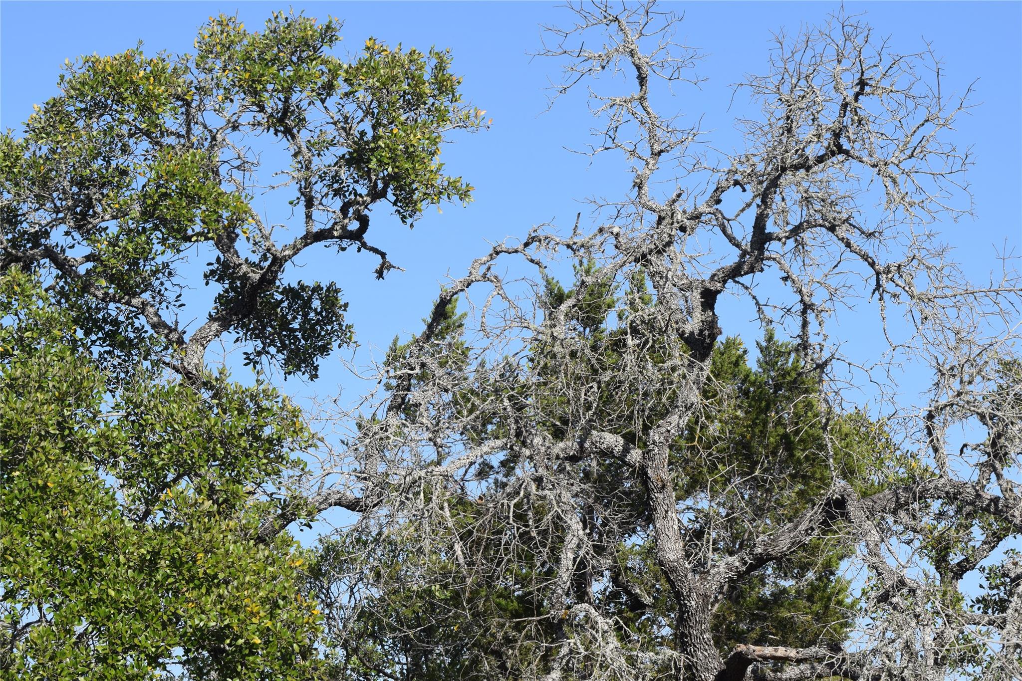 Tbd Cheyenne Trail Wimberley TX 78676