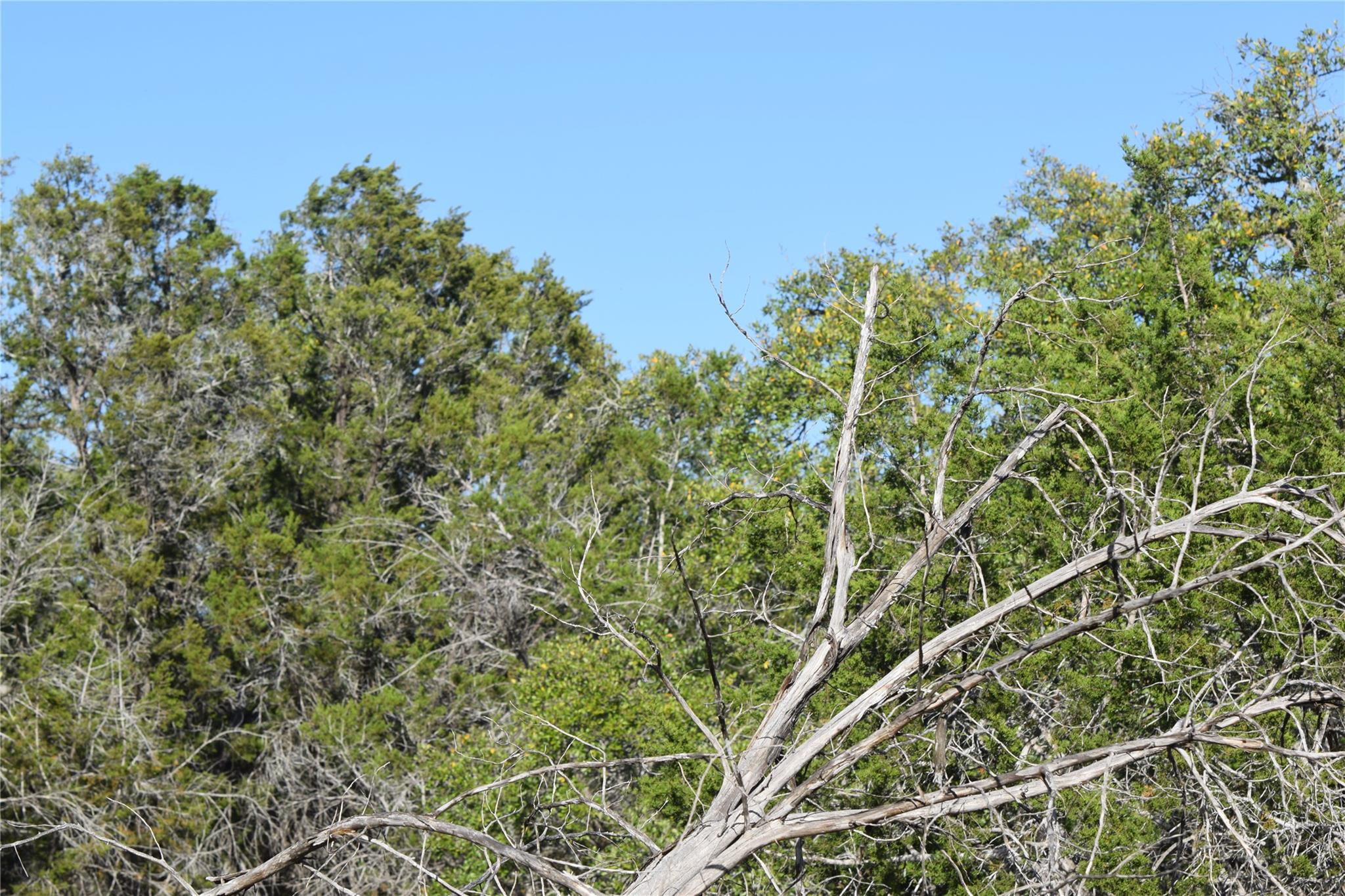 Tbd Cheyenne Trail Wimberley TX 78676