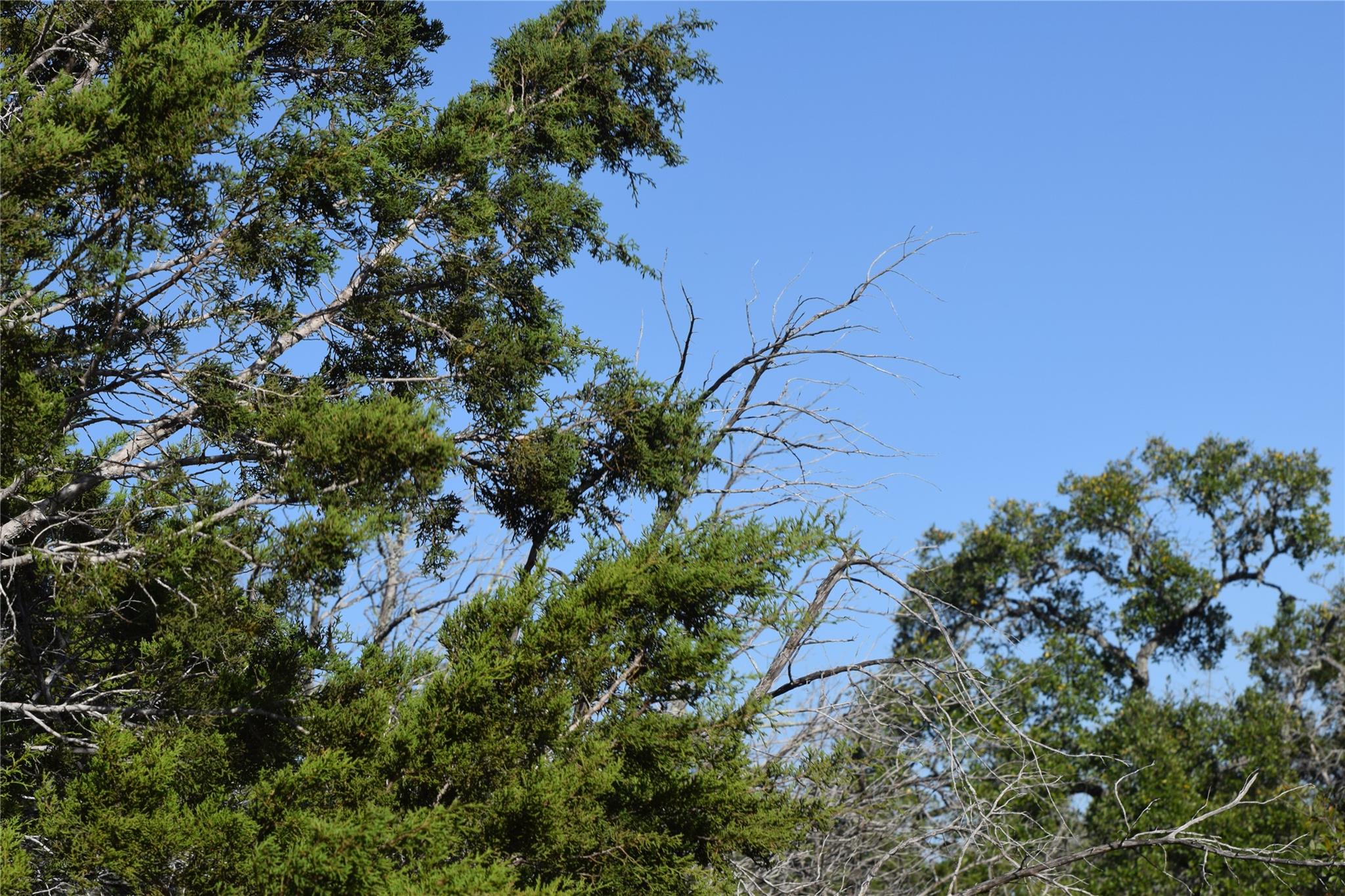 Tbd Cheyenne Trail Wimberley TX 78676