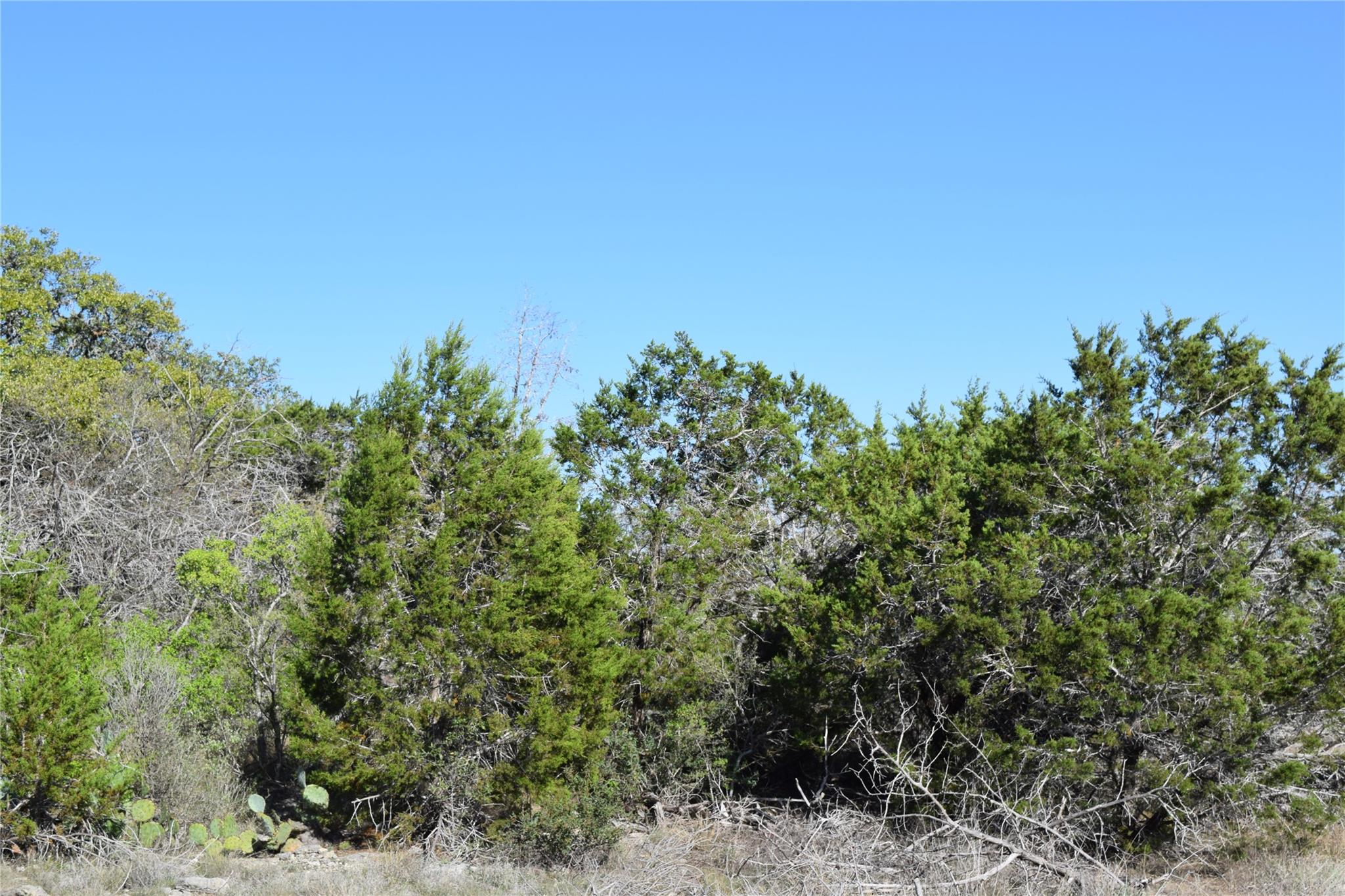 Tbd Cheyenne Trail Wimberley TX 78676