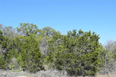 Tbd Cheyenne Trail Wimberley TX 78676