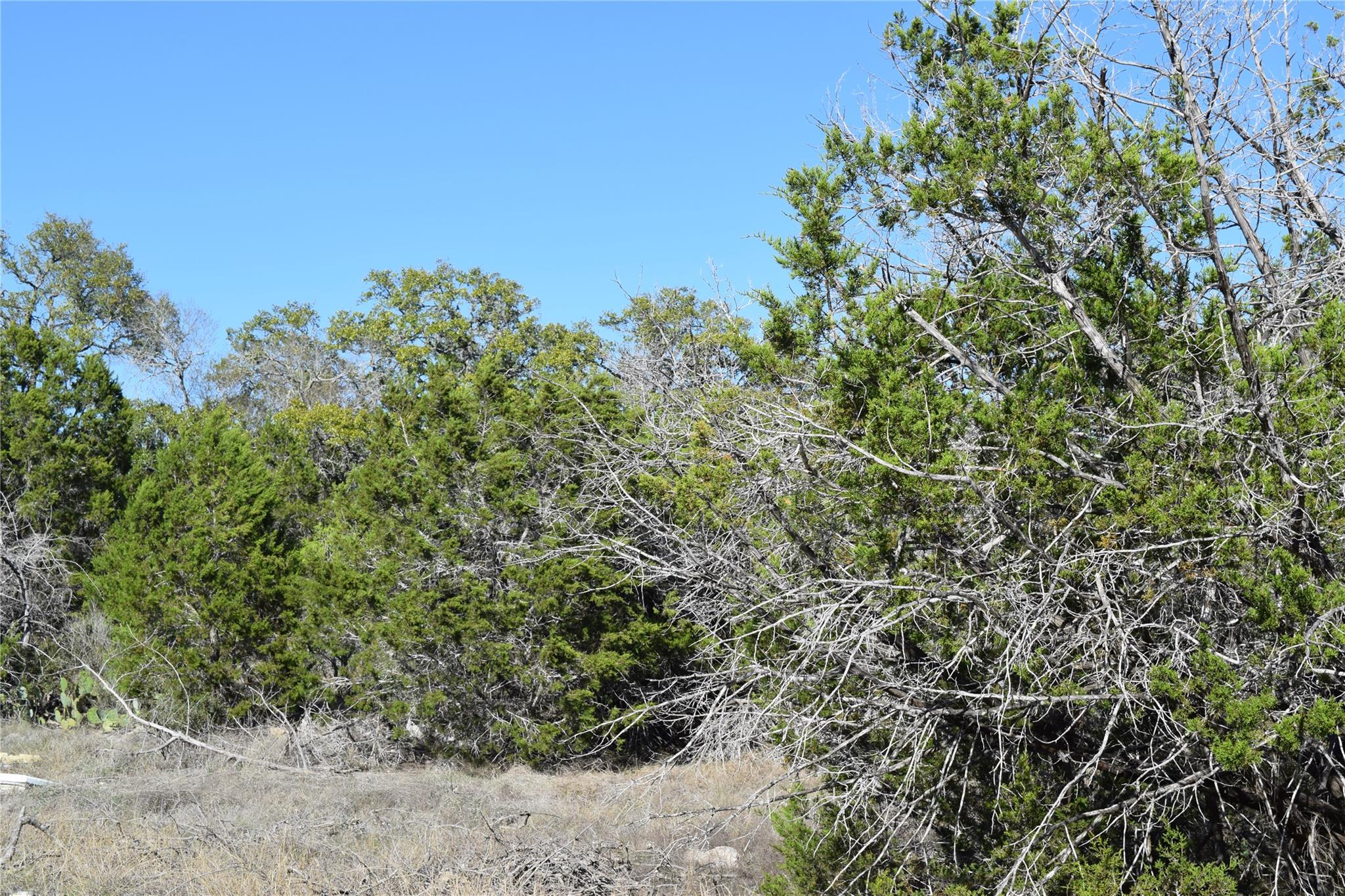 Tbd Cheyenne Trail Wimberley TX 78676