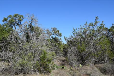 Tbd Cheyenne Trail Wimberley TX 78676