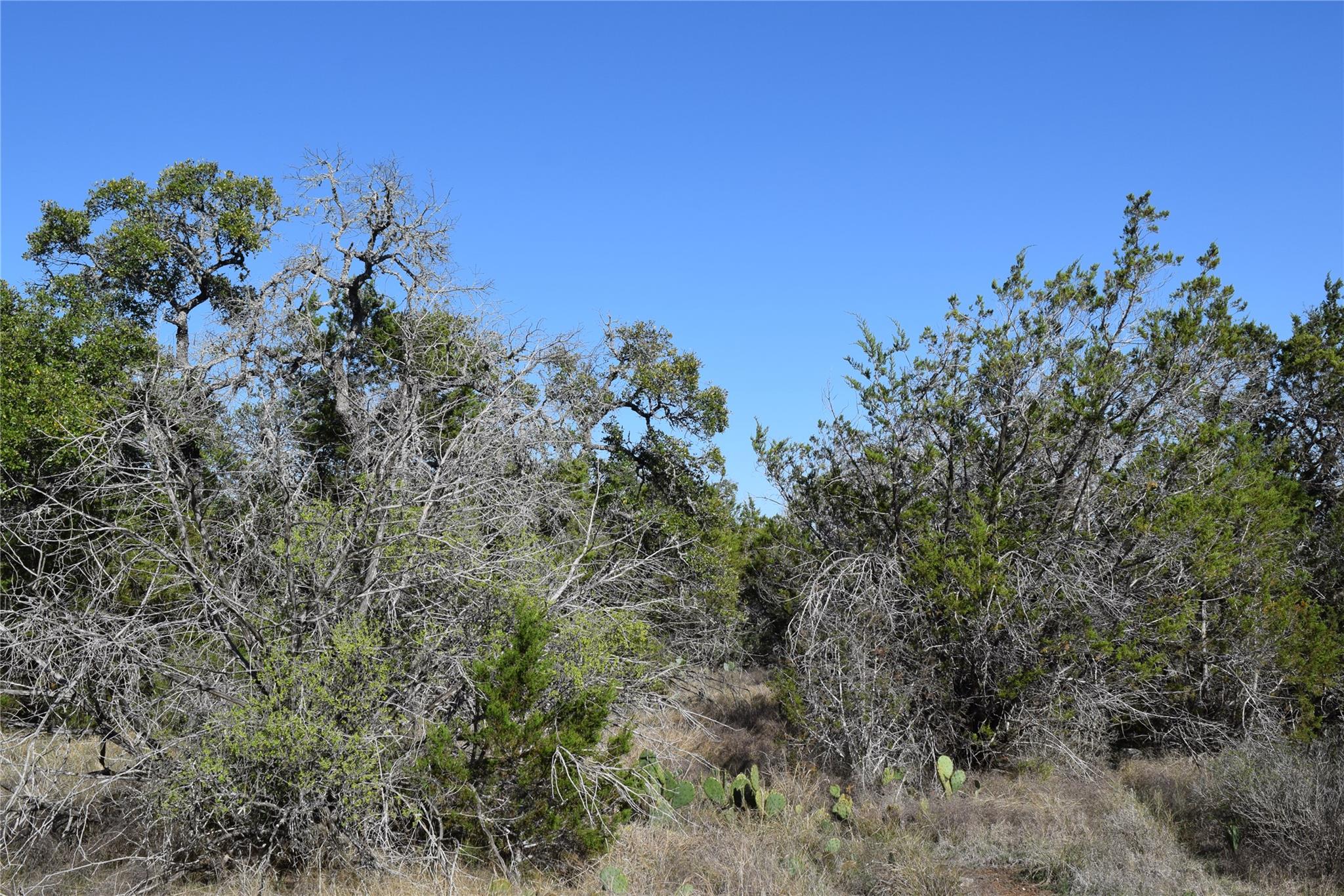 Tbd Cheyenne Trail Wimberley TX 78676