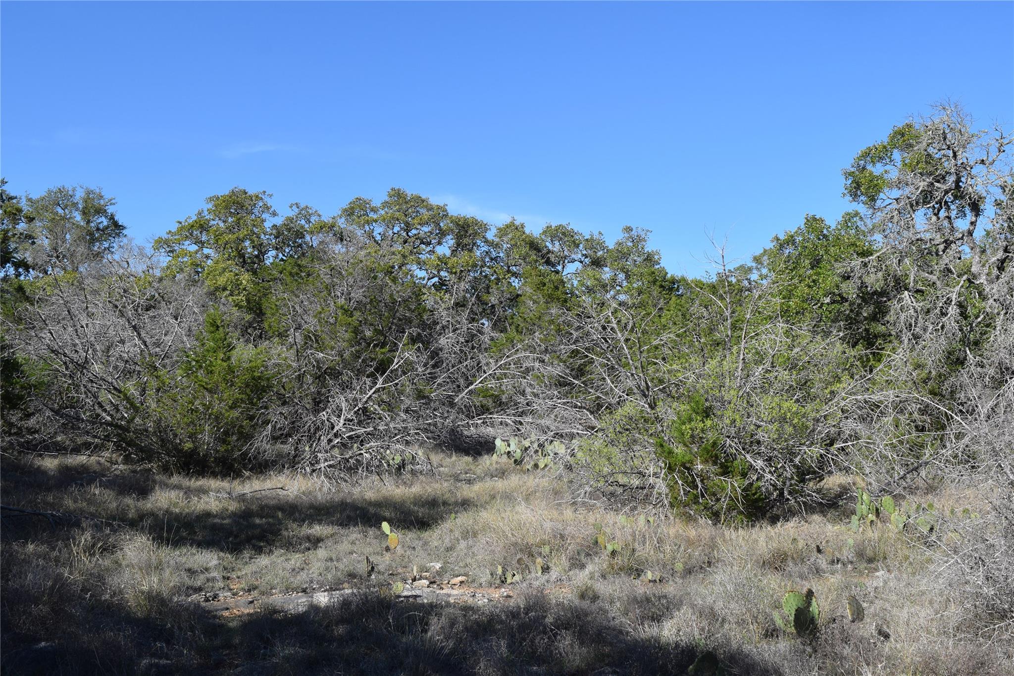 Tbd Cheyenne Trail Wimberley TX 78676