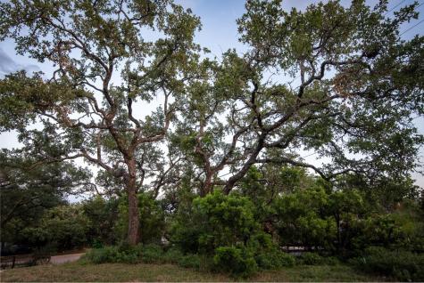 1106 The High Road Austin TX 78746