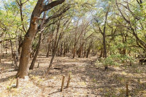 21402 Broken Bow Cove Lago Vista TX 78645