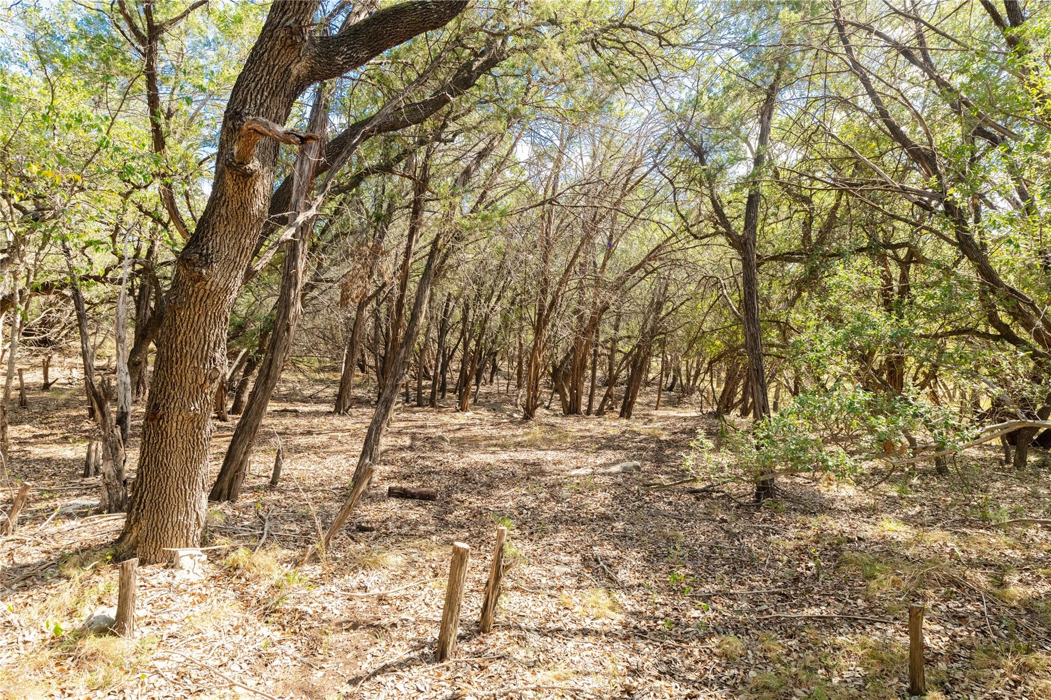 21402 Broken Bow Cove Lago Vista TX 78645