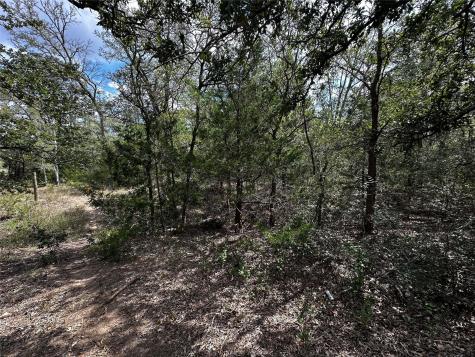 1501 Old Colony Line Road Dale TX 78616