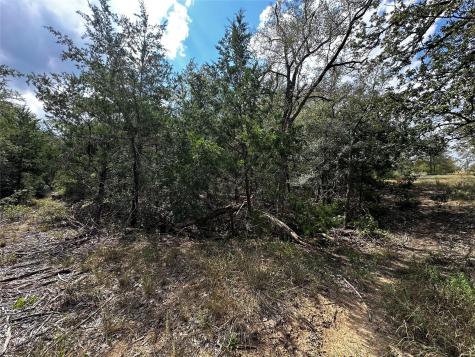 1501 Old Colony Line Road Dale TX 78616
