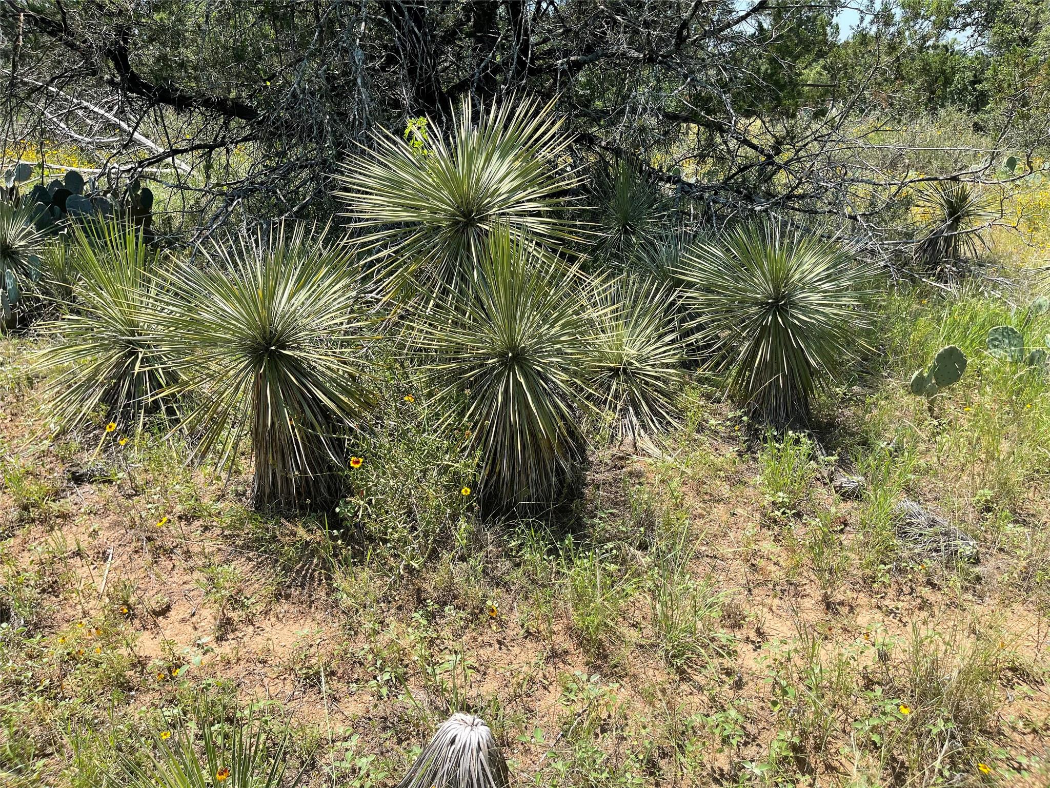 Tbd E Castlelakes Drive Granite Shoals TX 78654