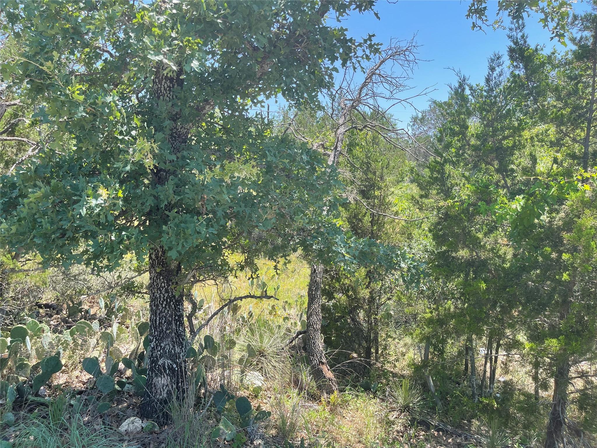 Tbd E Castlelakes Drive Granite Shoals TX 78654