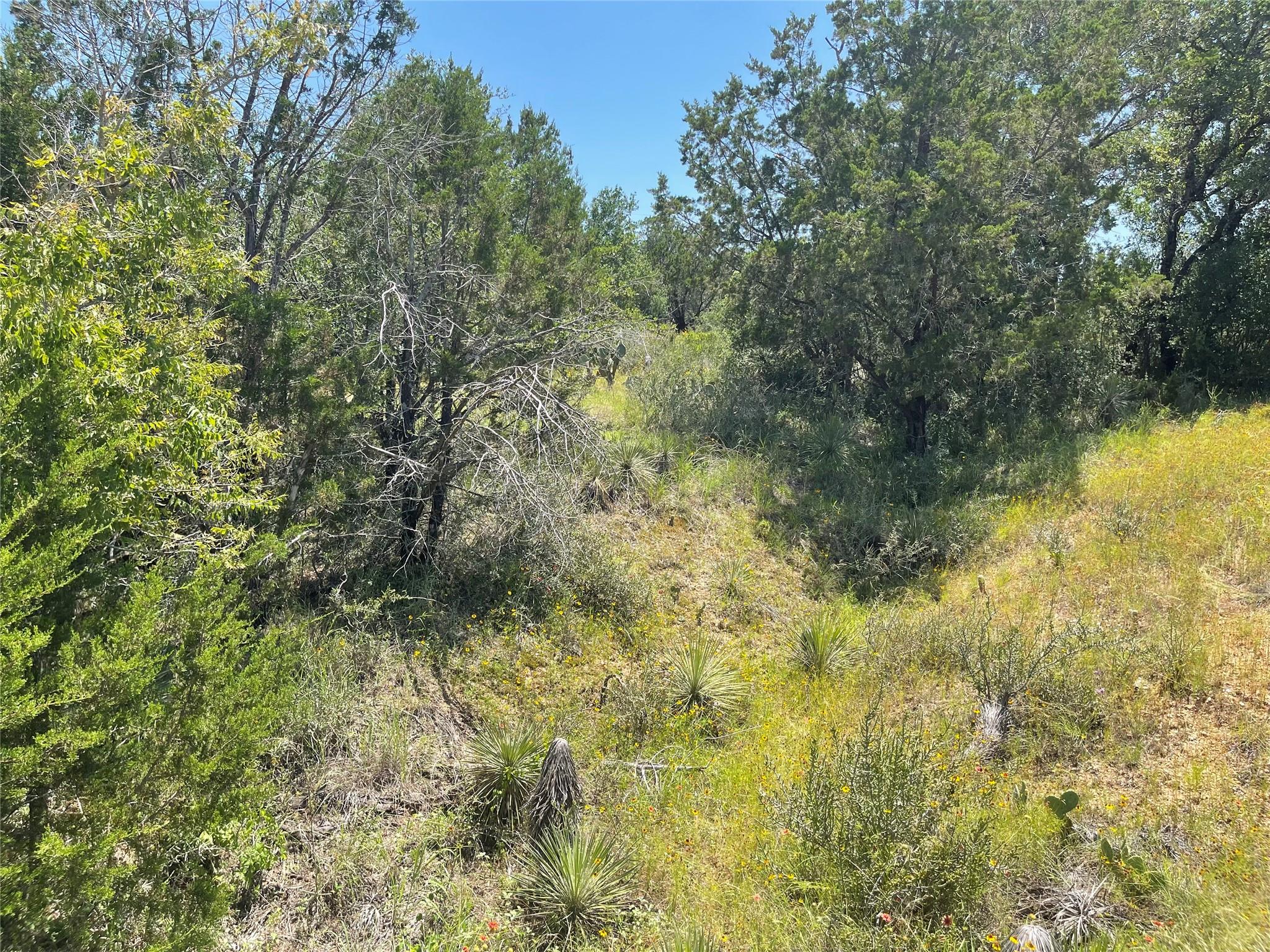 Tbd E Castlelakes Drive Granite Shoals TX 78654