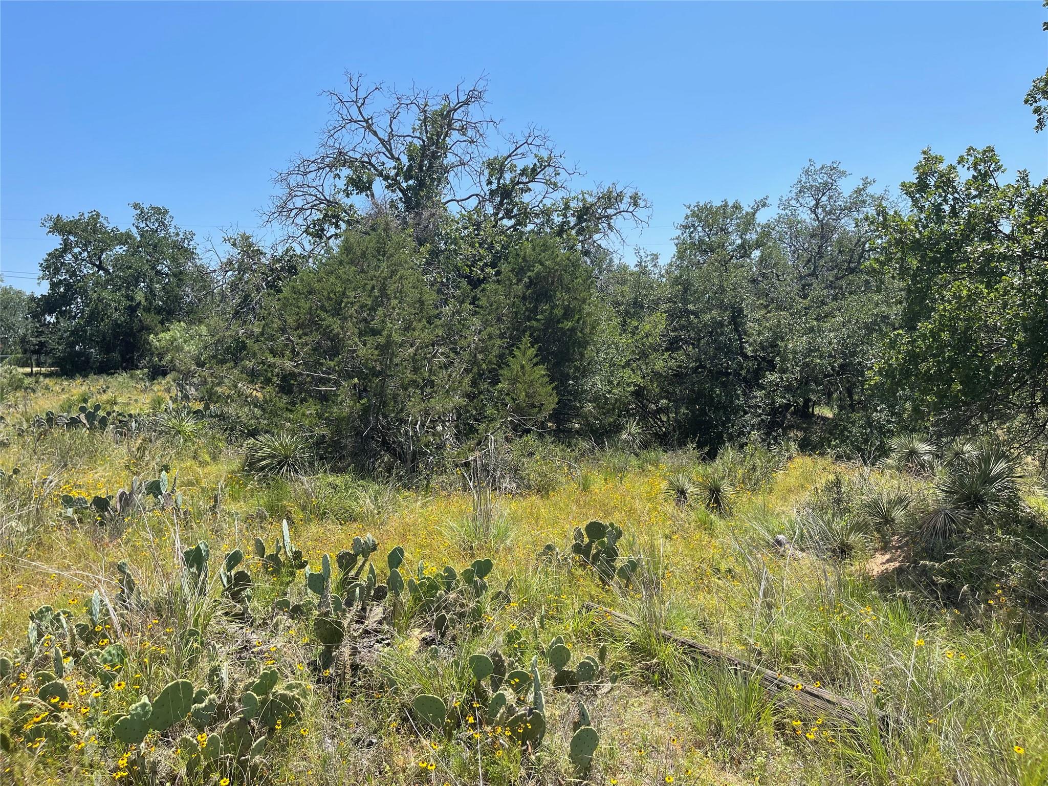 Tbd E Castlelakes Drive Granite Shoals TX 78654