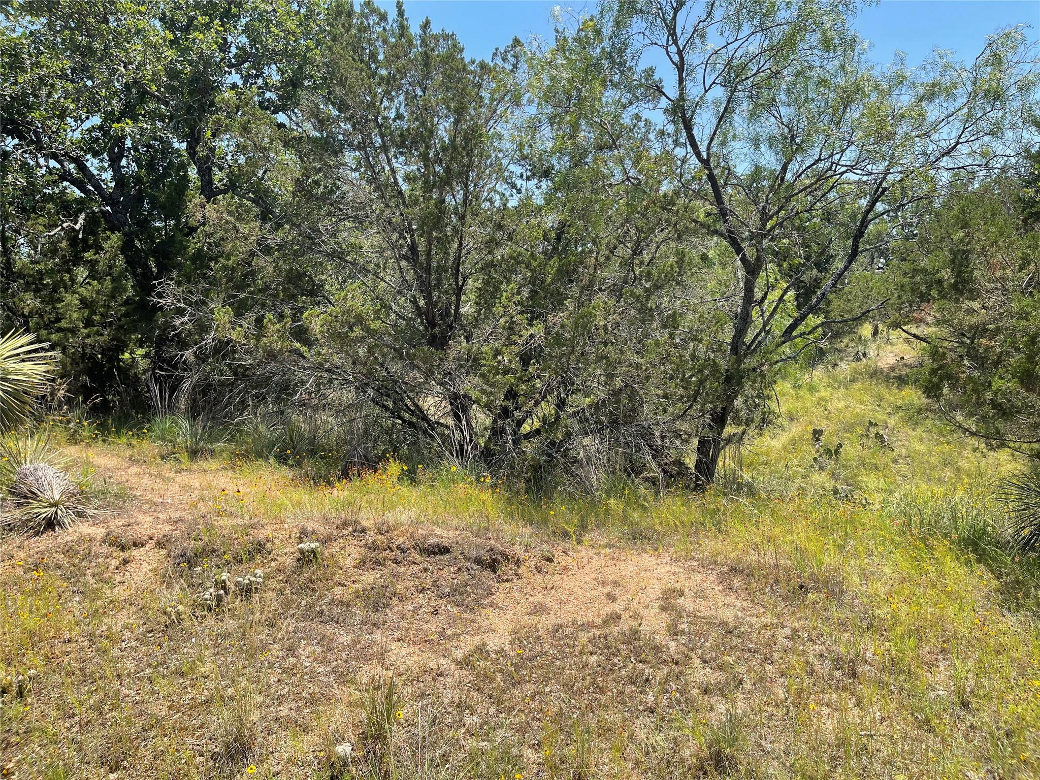 Tbd E Castlelakes Drive Granite Shoals TX 78654