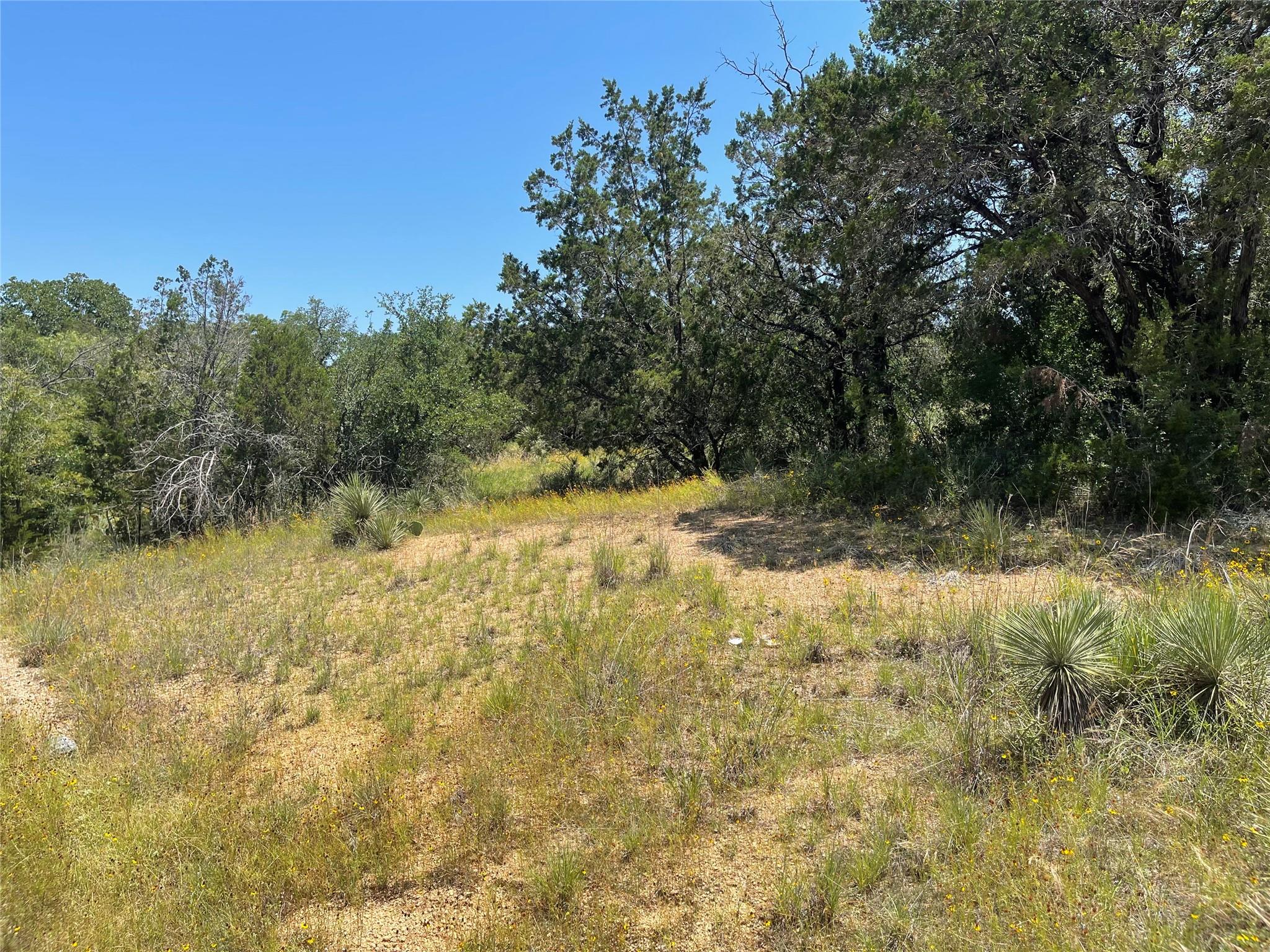 Tbd E Castlelakes Drive Granite Shoals TX 78654