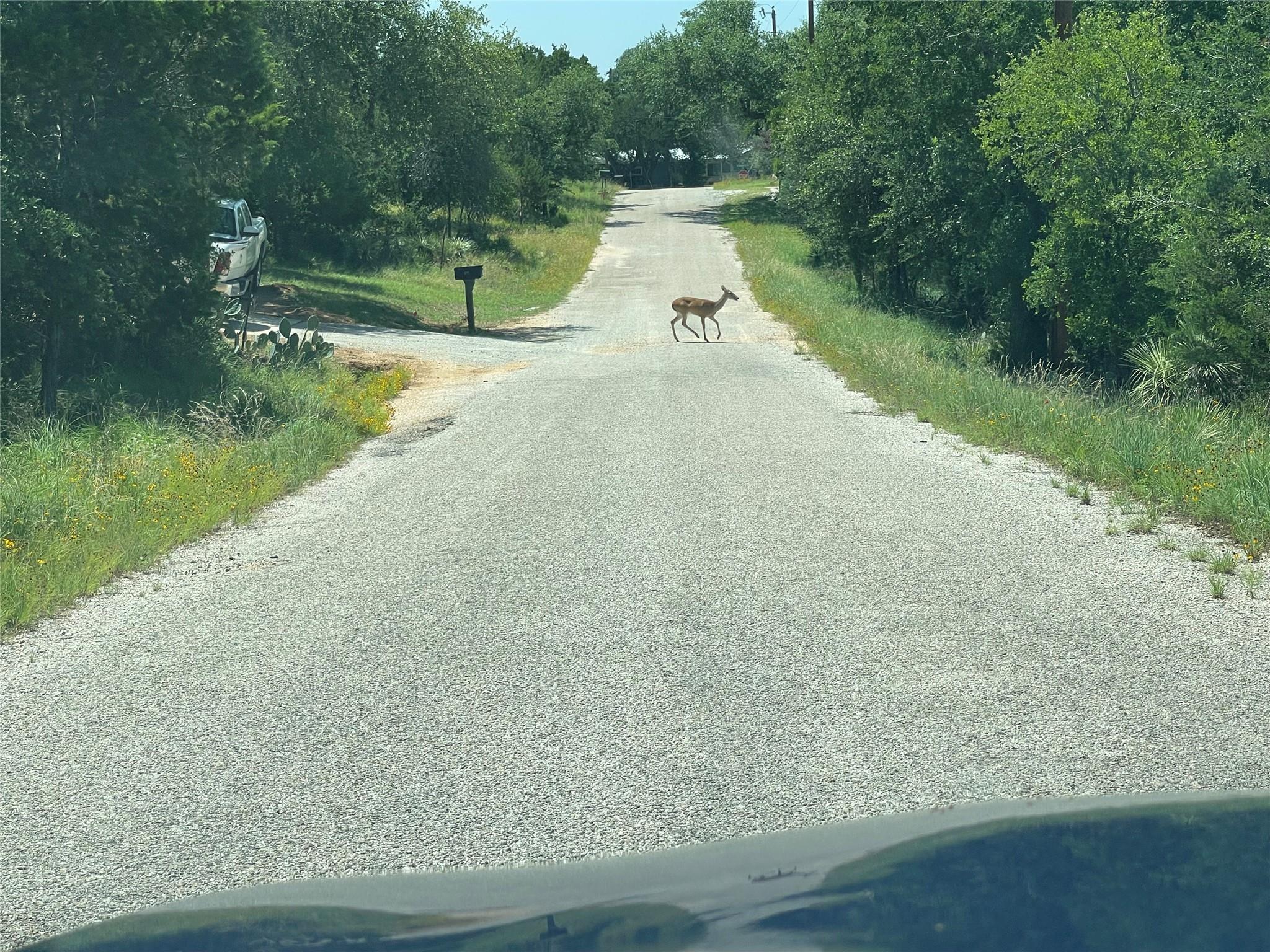 Tbd E Castlelakes Drive Granite Shoals TX 78654