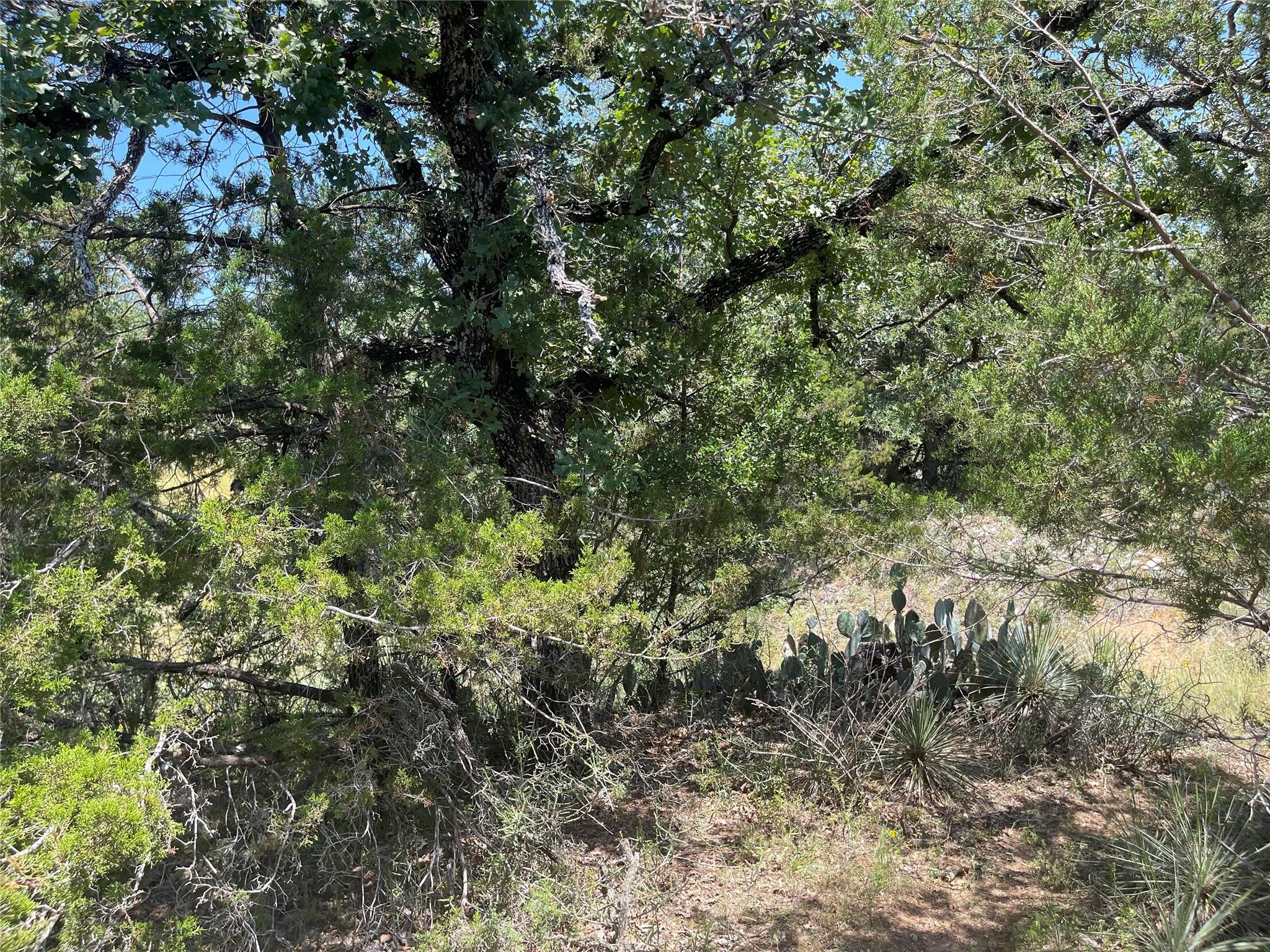 Tbd E Castlelakes Drive Granite Shoals TX 78654