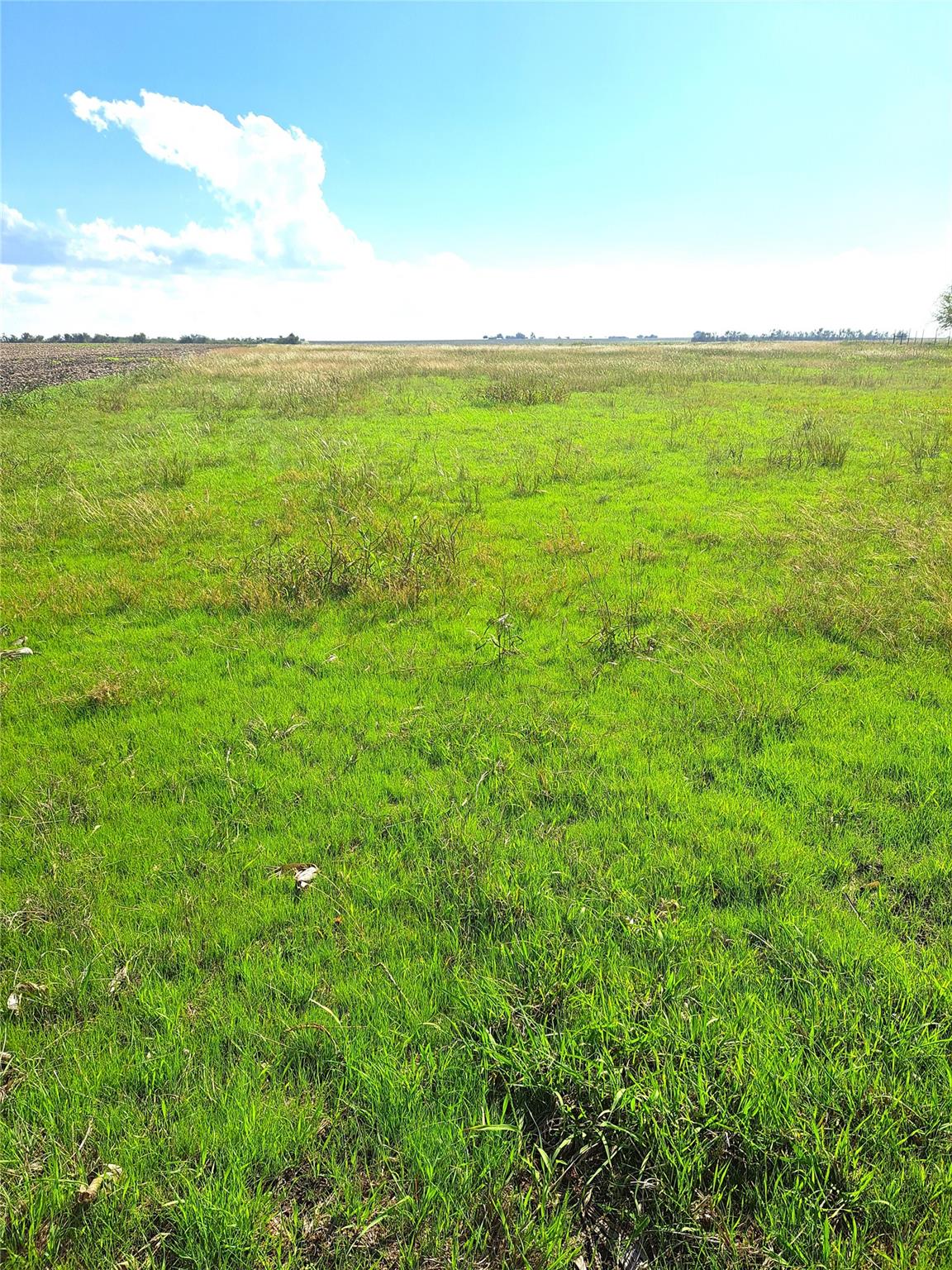 Tbd Cr 414 Road Taylor TX 76574