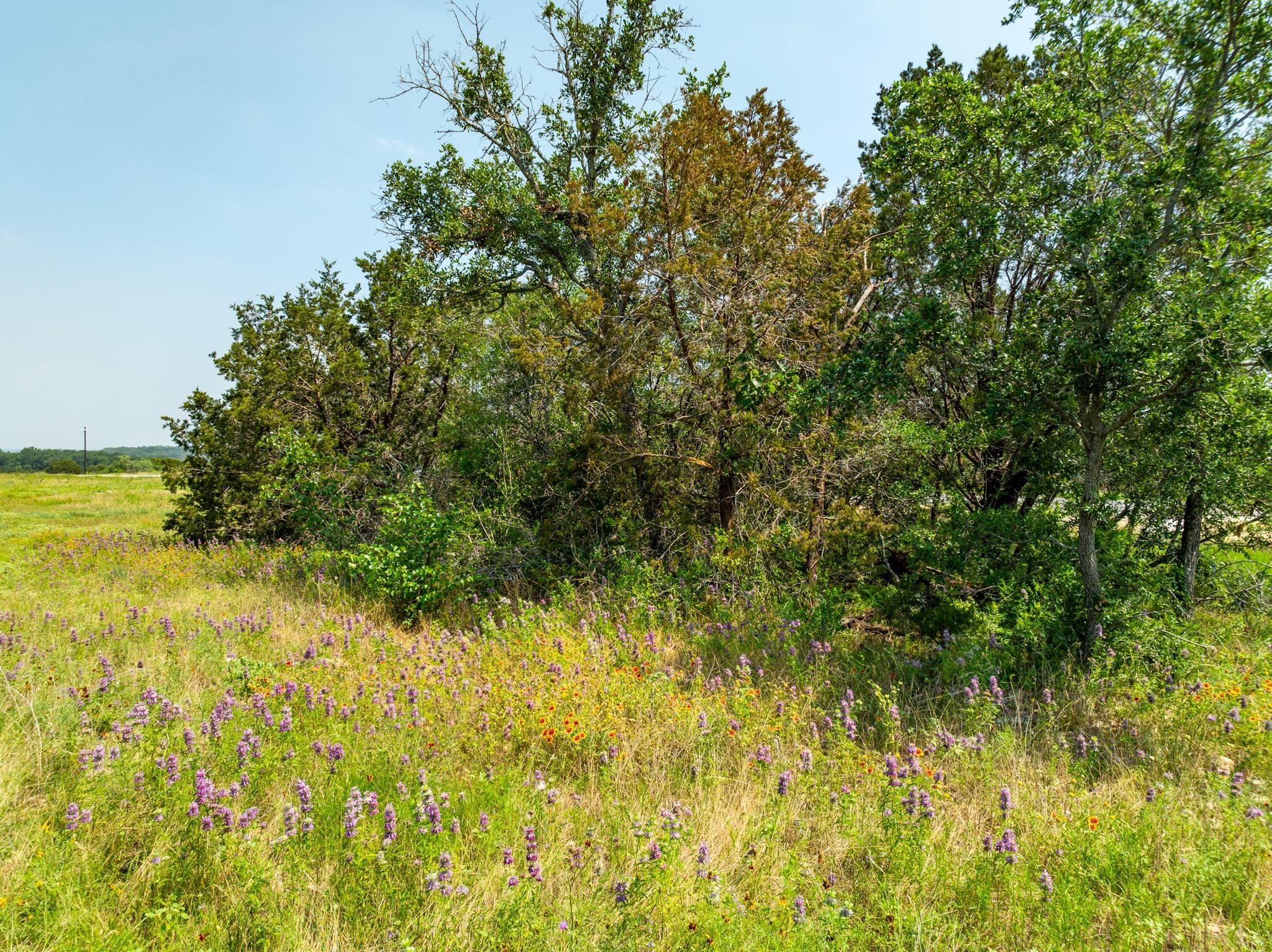 Tbd Pitchfork Ranch Road Copperas Cove TX 76522