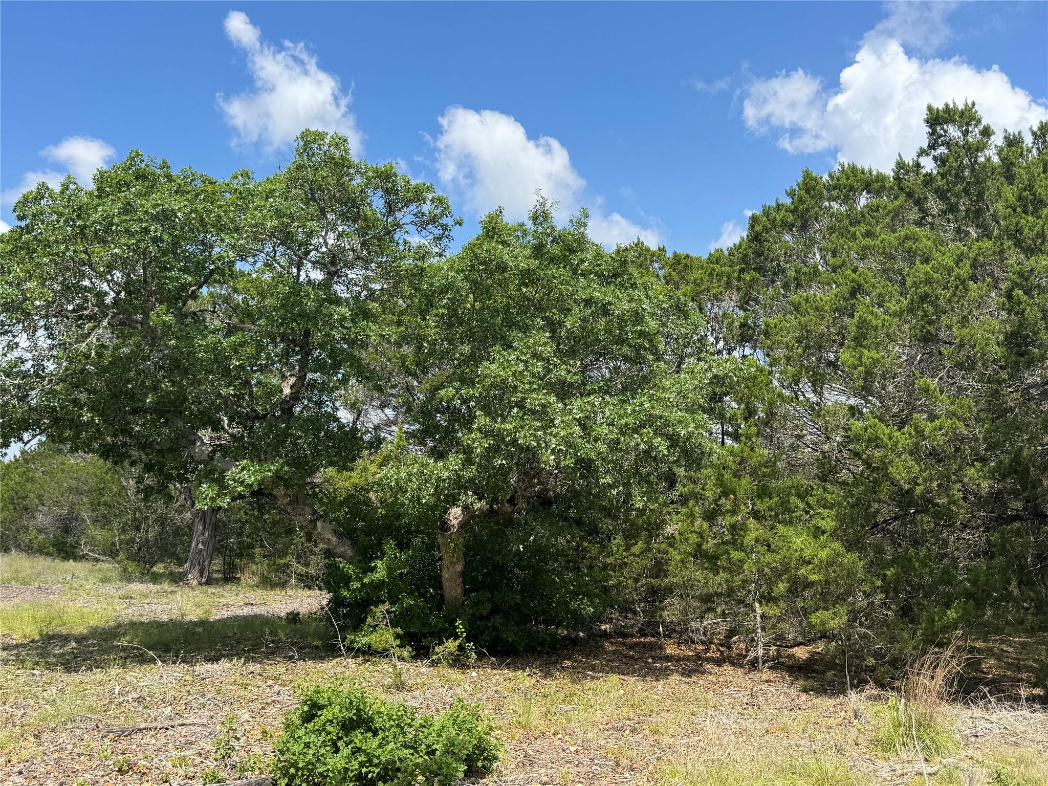 Lot 37 Riparian Elm Road Bertram TX 78605
