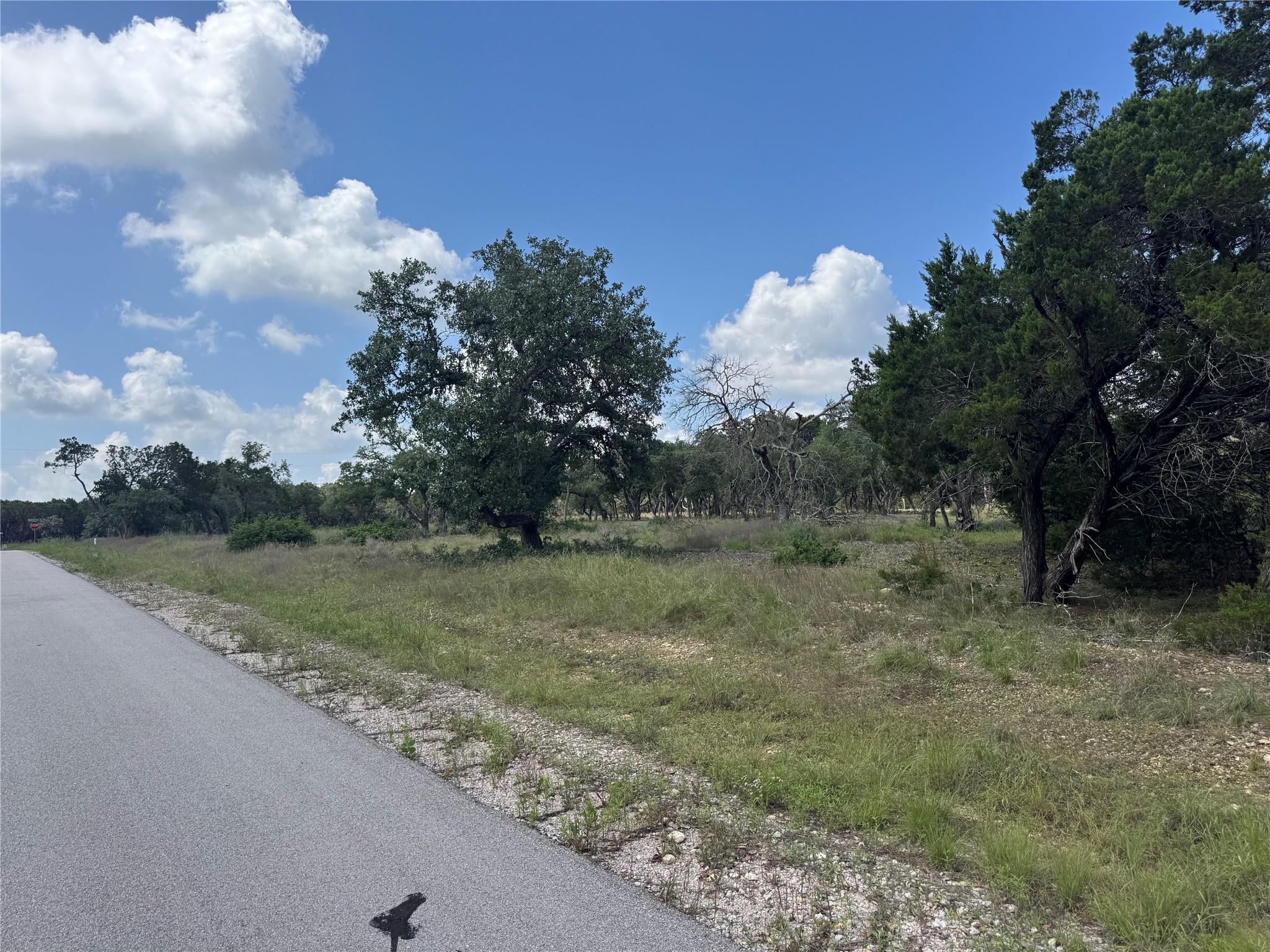 Lot 37 Riparian Elm Road Bertram TX 78605