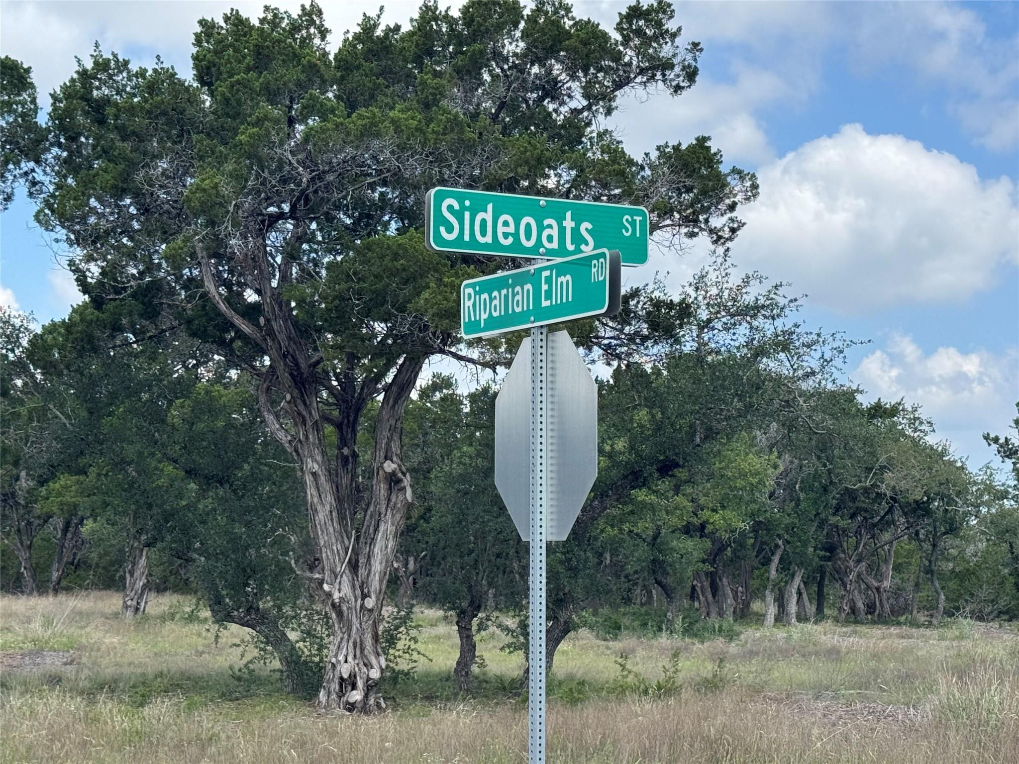 Lot 37 Riparian Elm Road Bertram TX 78605