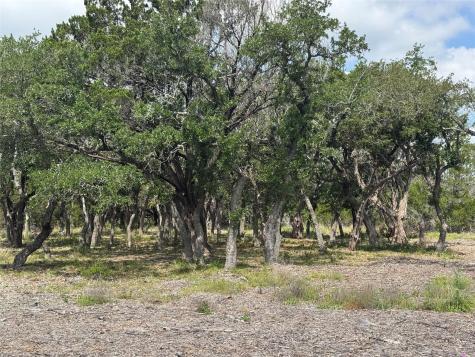 Lot 37 Riparian Elm Road Bertram TX 78605