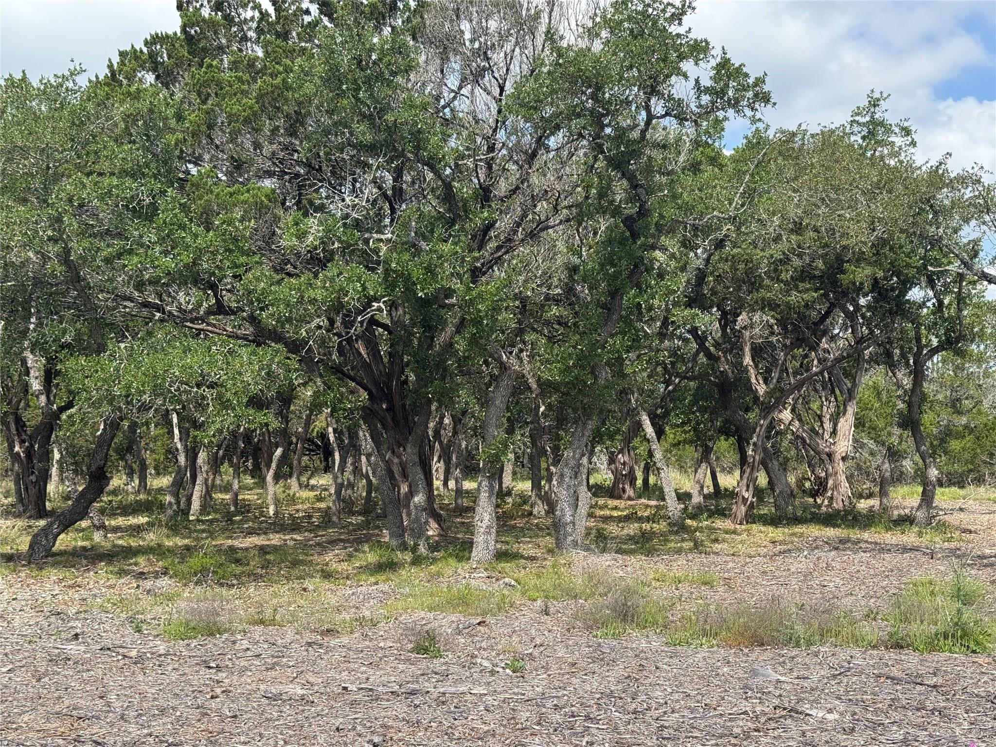 Lot 37 Riparian Elm Road Bertram TX 78605