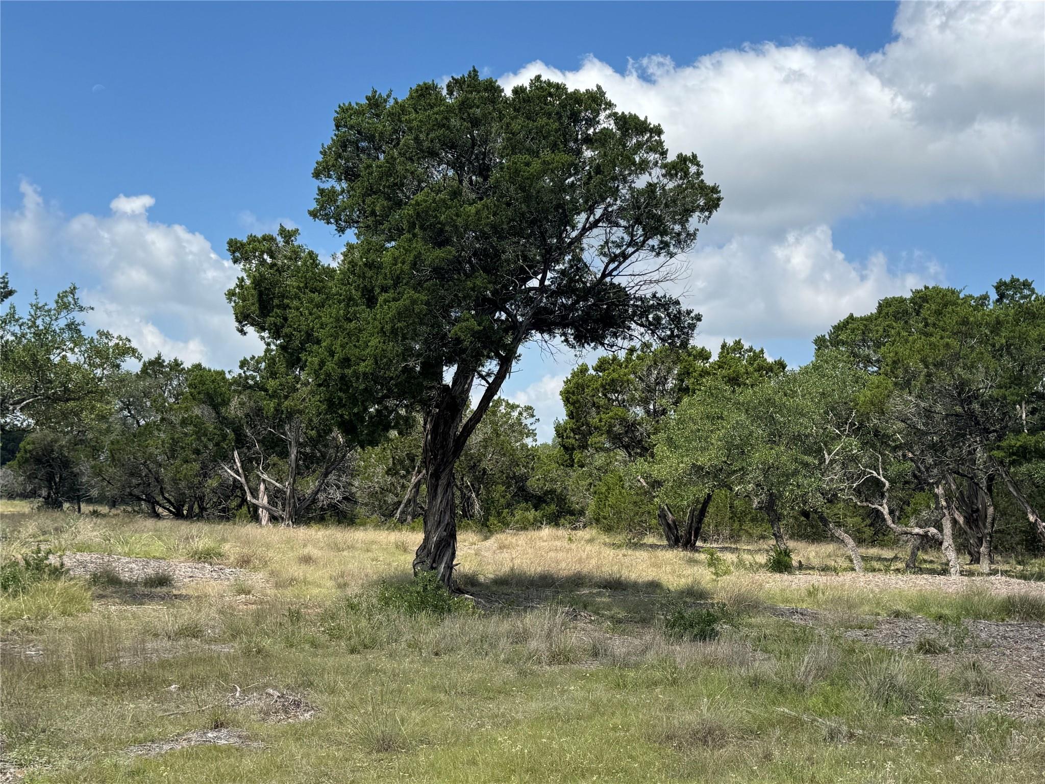 Lot 37 Riparian Elm Road Bertram TX 78605