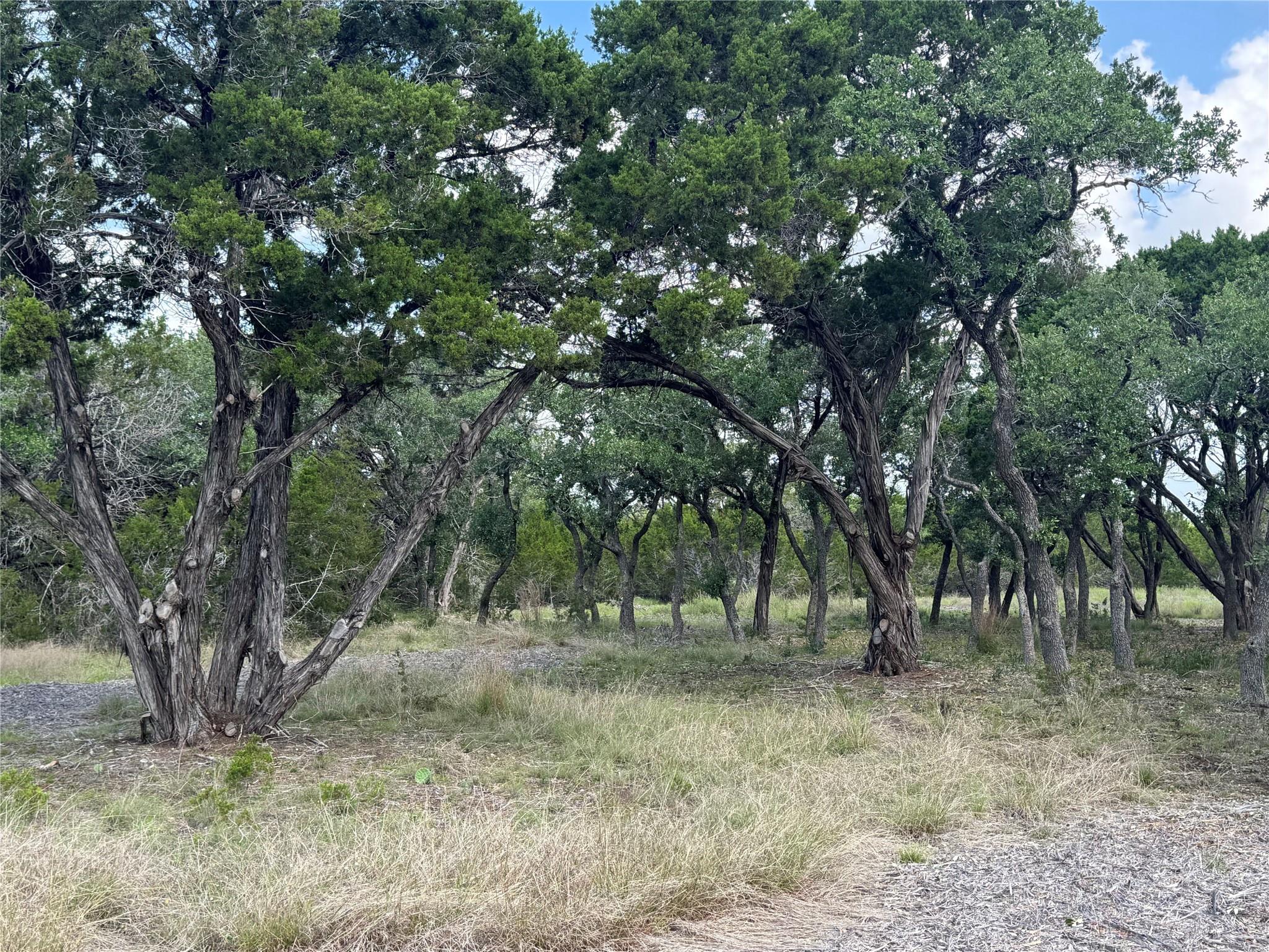 Lot 37 Riparian Elm Road Bertram TX 78605