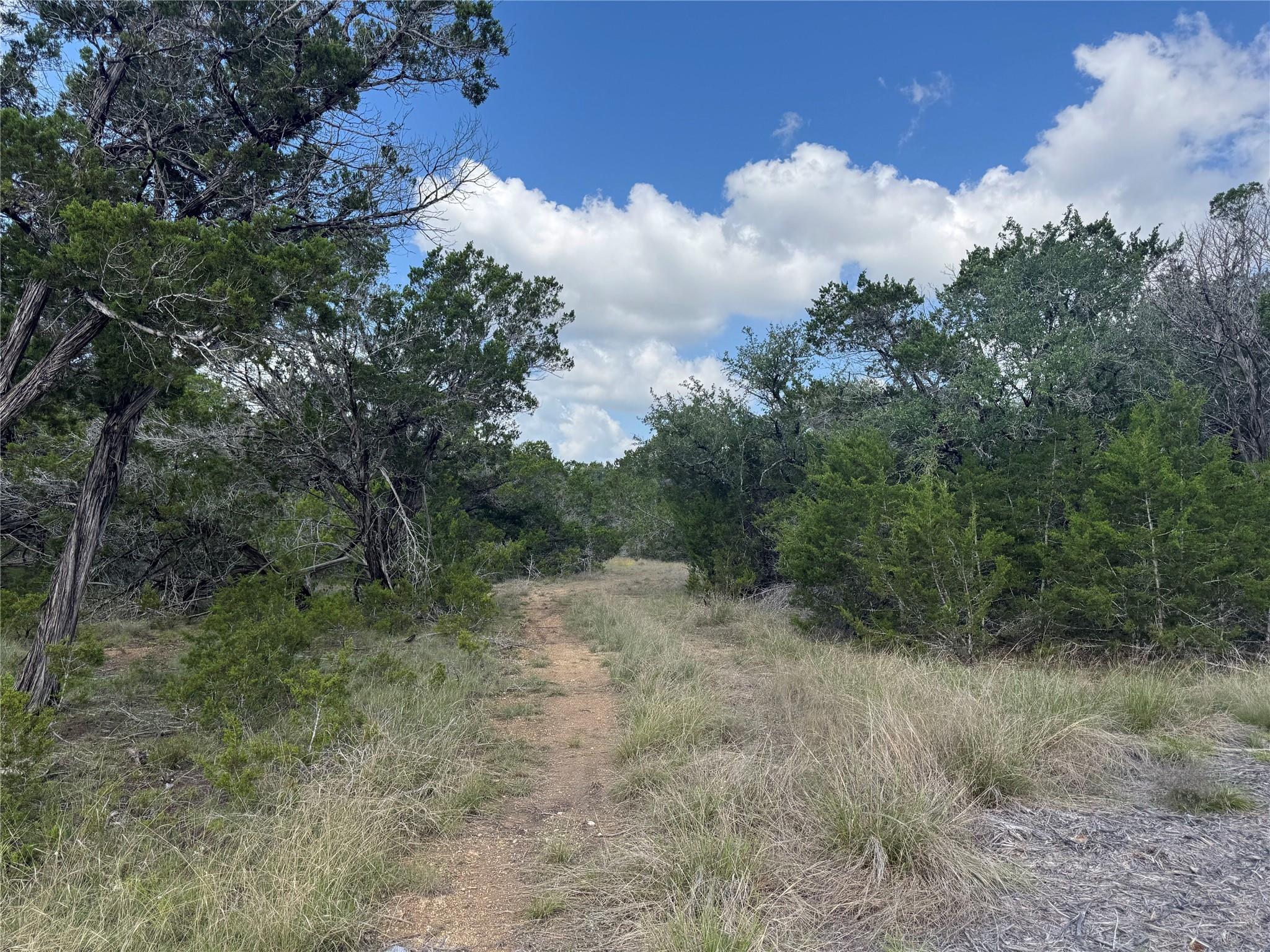 Lot 37 Riparian Elm Road Bertram TX 78605