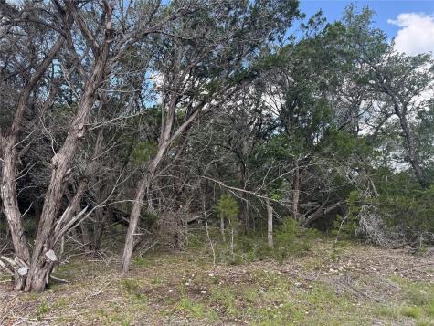 Lot 37 Riparian Elm Road Bertram TX 78605