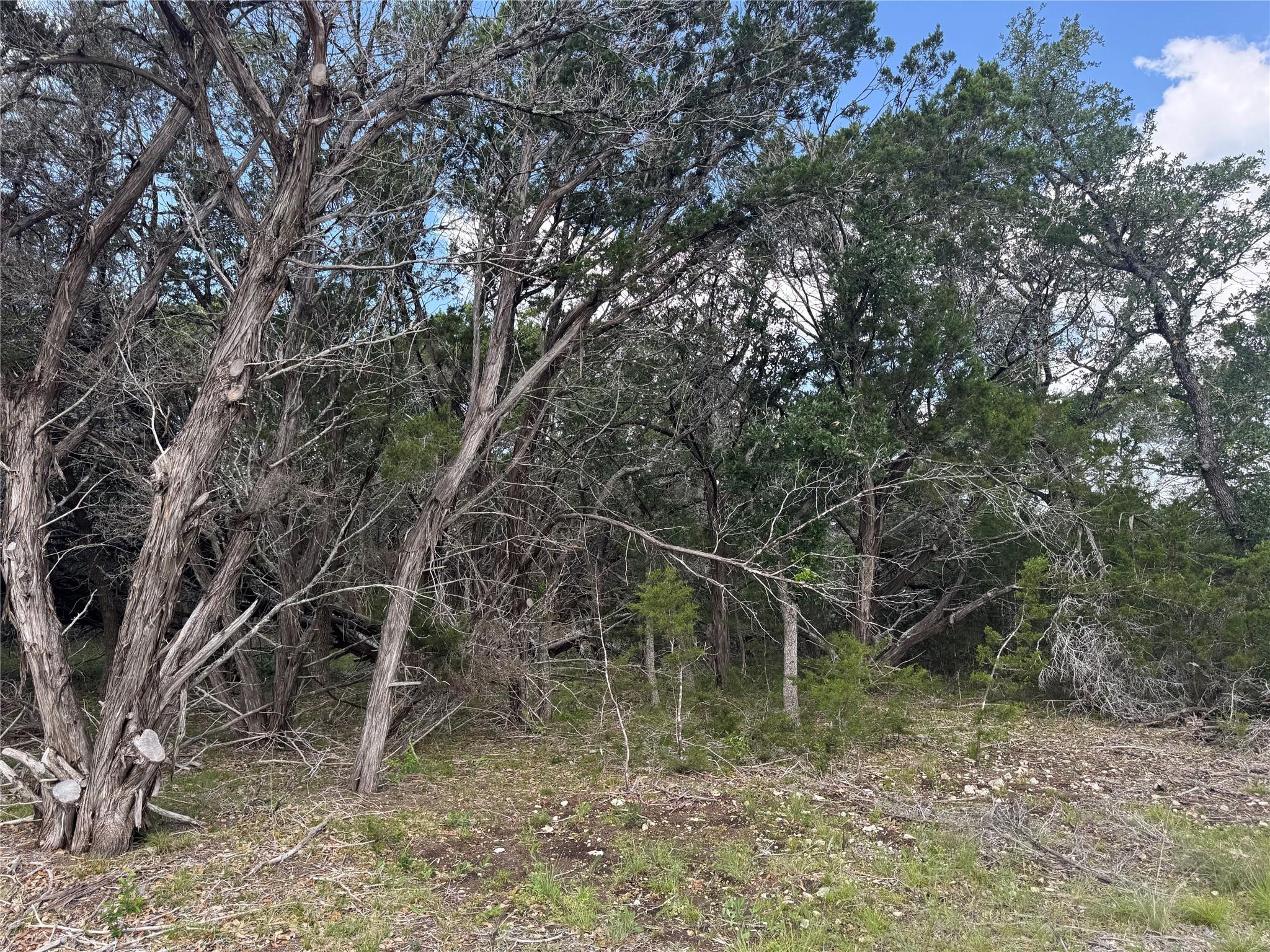 Lot 37 Riparian Elm Road Bertram TX 78605