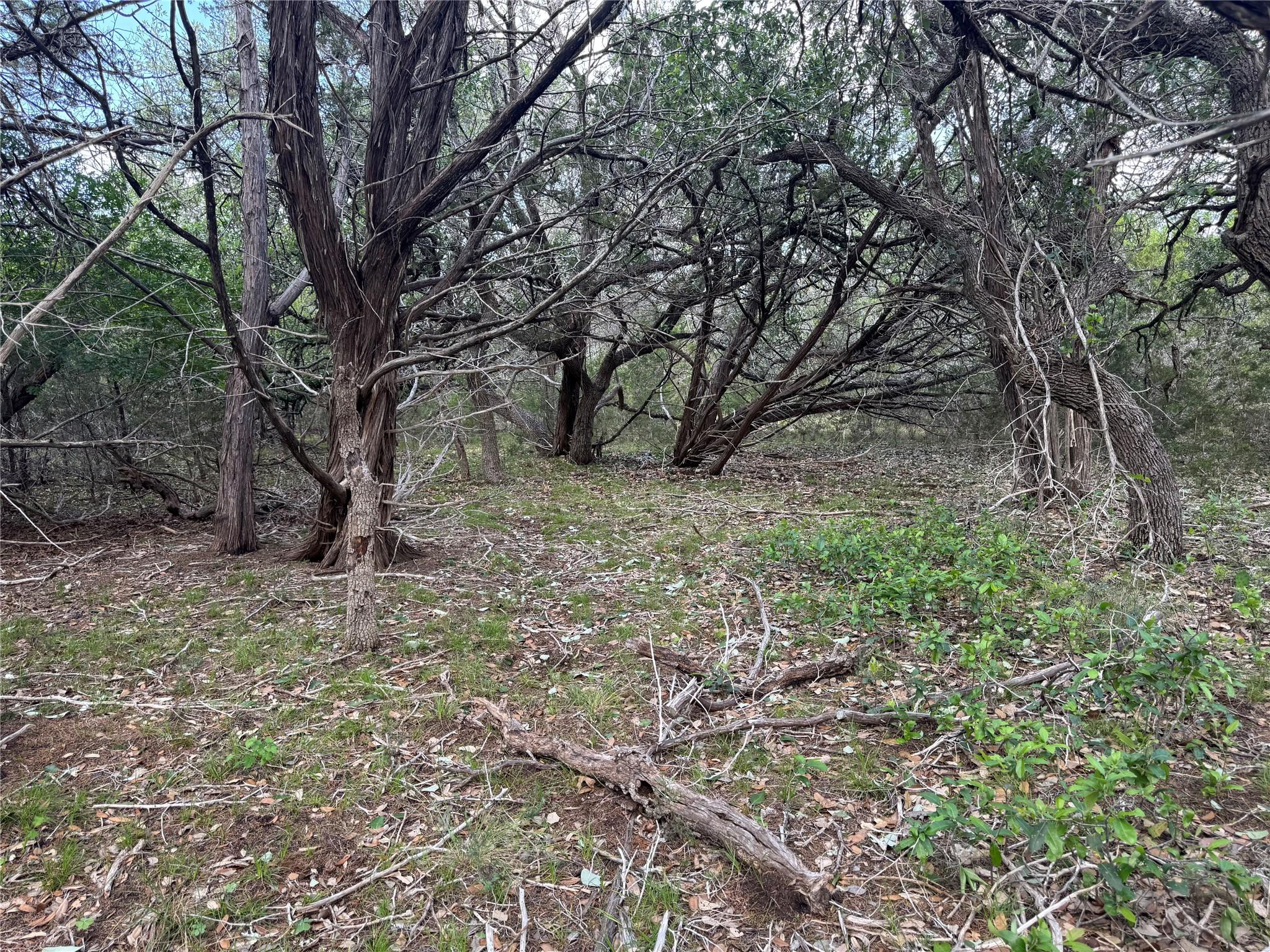 Lot 37 Riparian Elm Road Bertram TX 78605