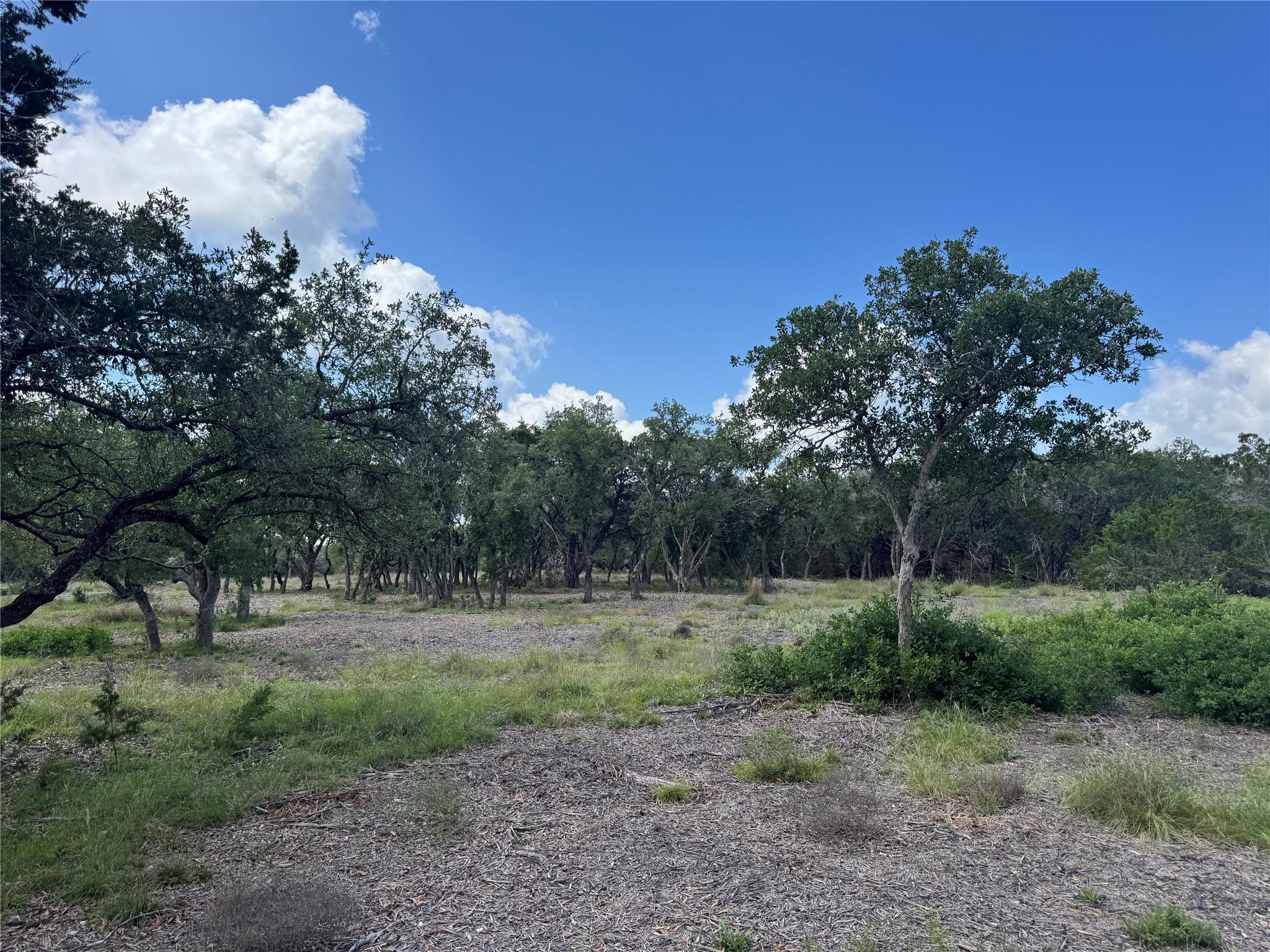 Lot 37 Riparian Elm Road Bertram TX 78605