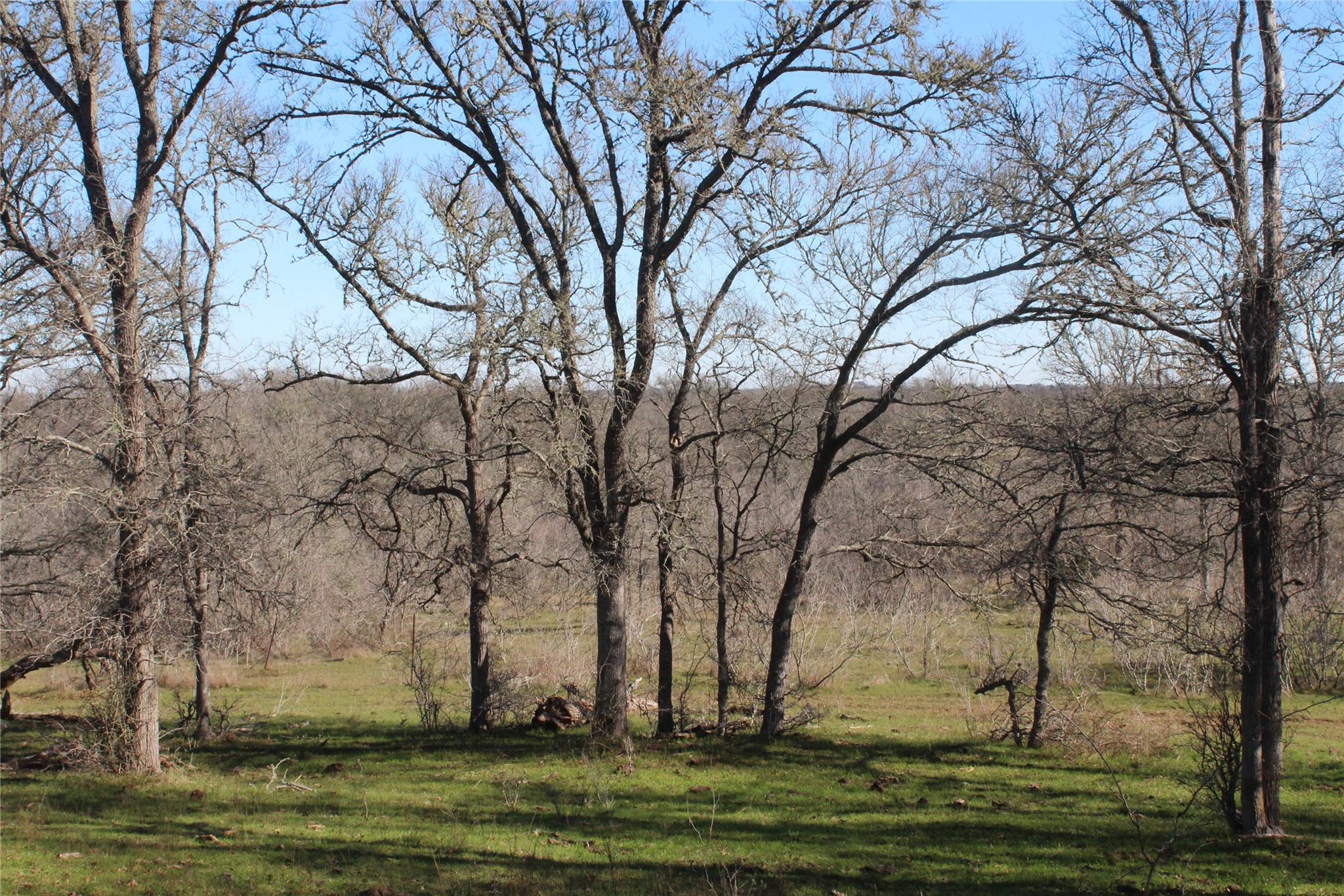 1223 County Road 429 Dime Box TX 77853