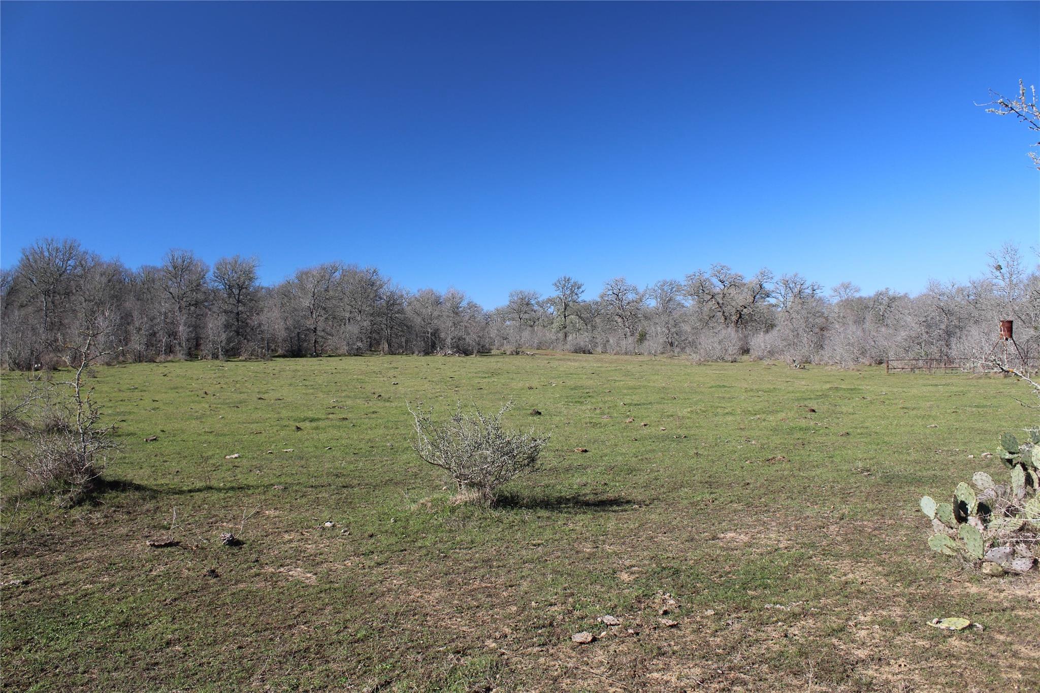 1223 County Road 429 Dime Box TX 77853
