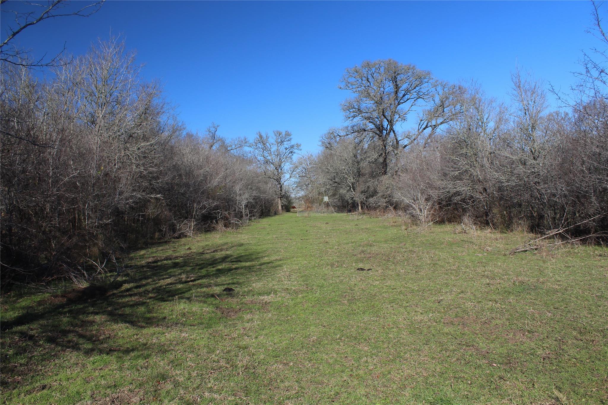 1223 County Road 429 Dime Box TX 77853