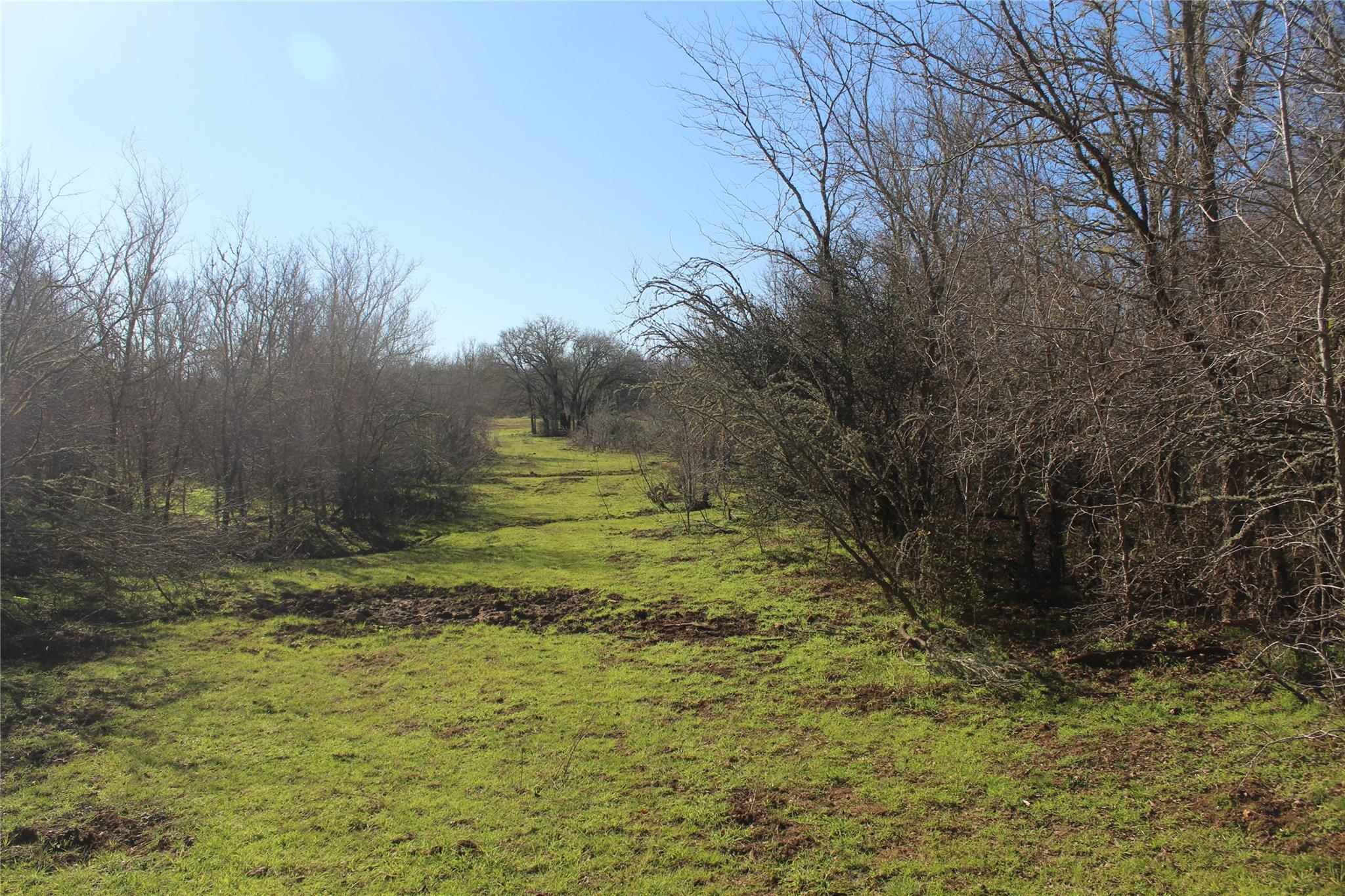 1223 County Road 429 Dime Box TX 77853