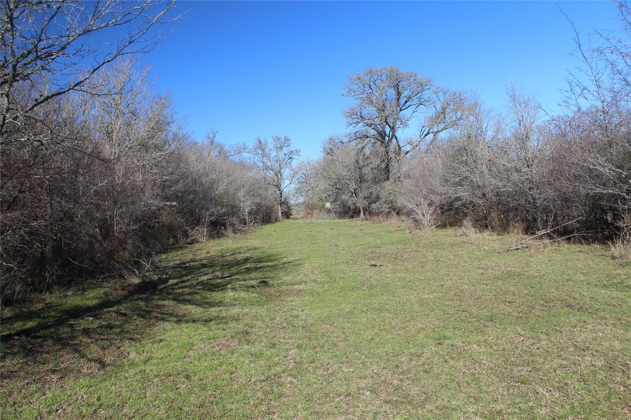 1223 County Road 429 Dime Box TX 77853