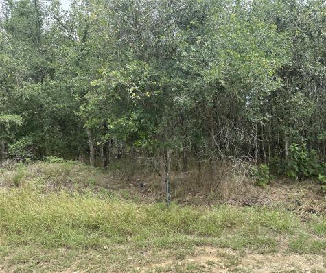 107 Halawa Court Bastrop TX 78602