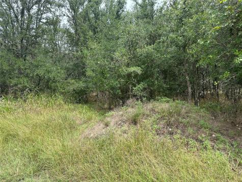 107 Halawa Court Bastrop TX 78602