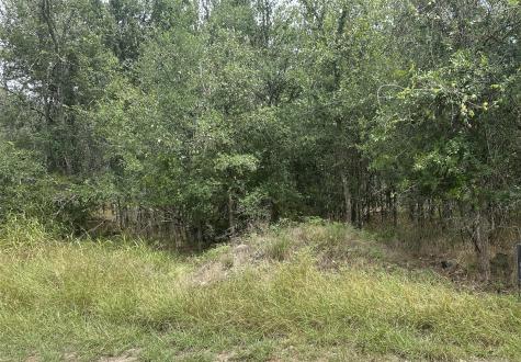 107 Halawa Court Bastrop TX 78602