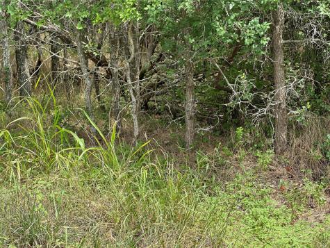 107 Halawa Court Bastrop TX 78602